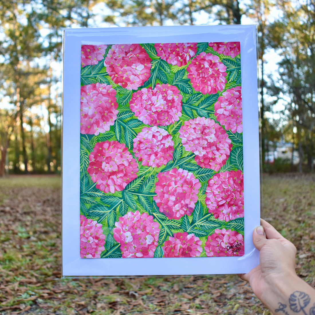 Hydrangea Pink original