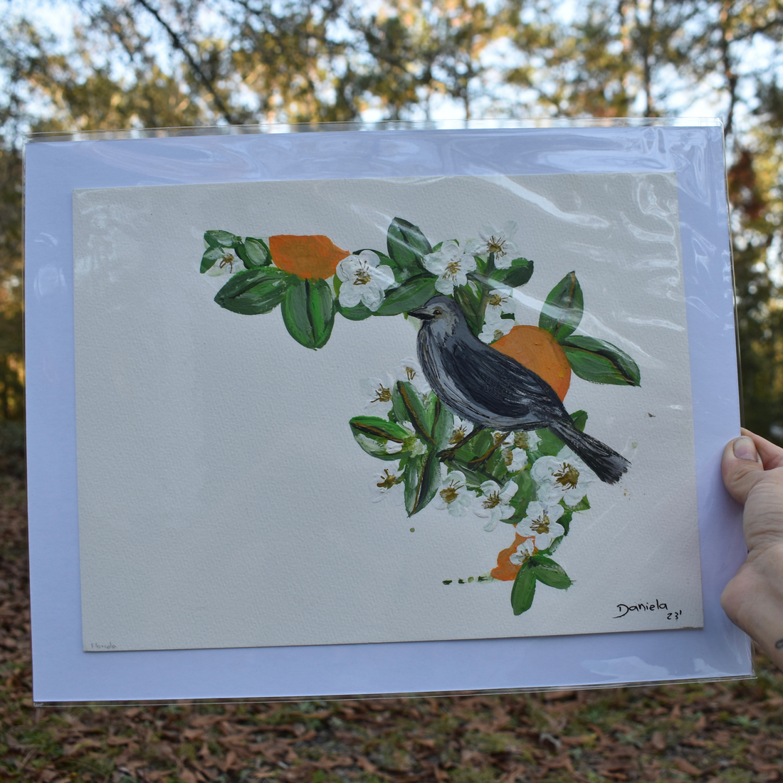 Florida State & Bird Original