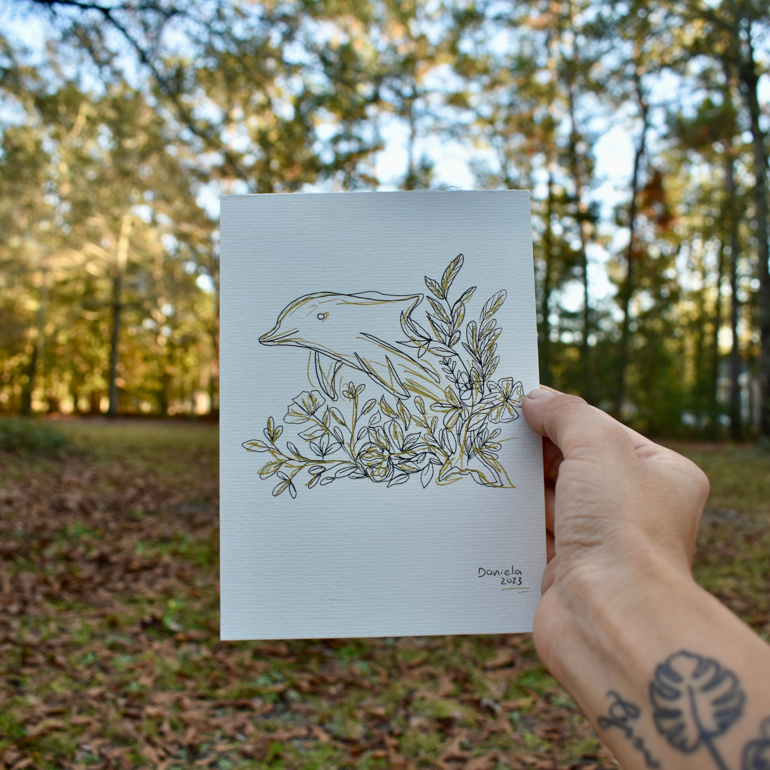 Dolphin original