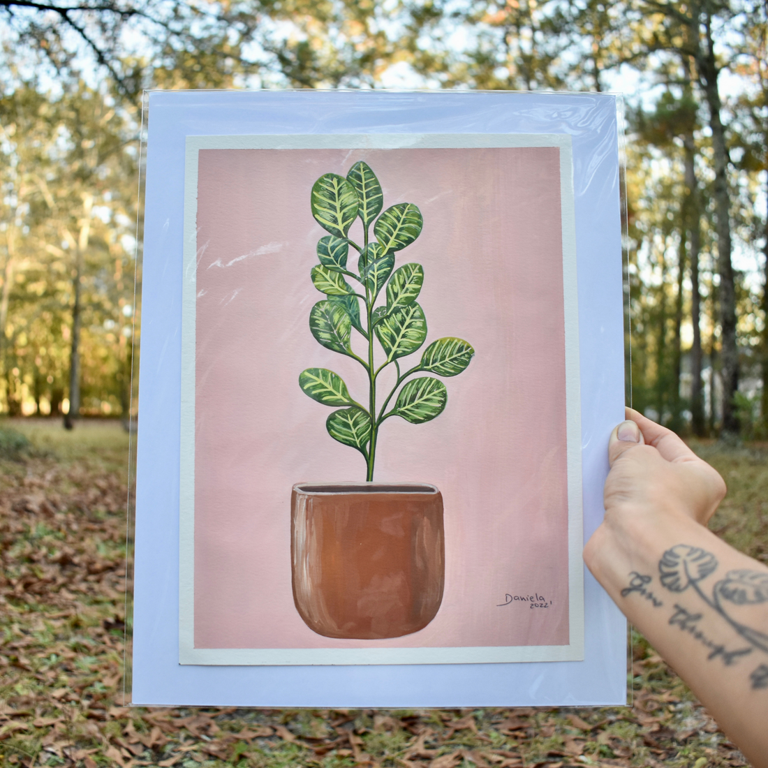 Fiddle Fig Tree original