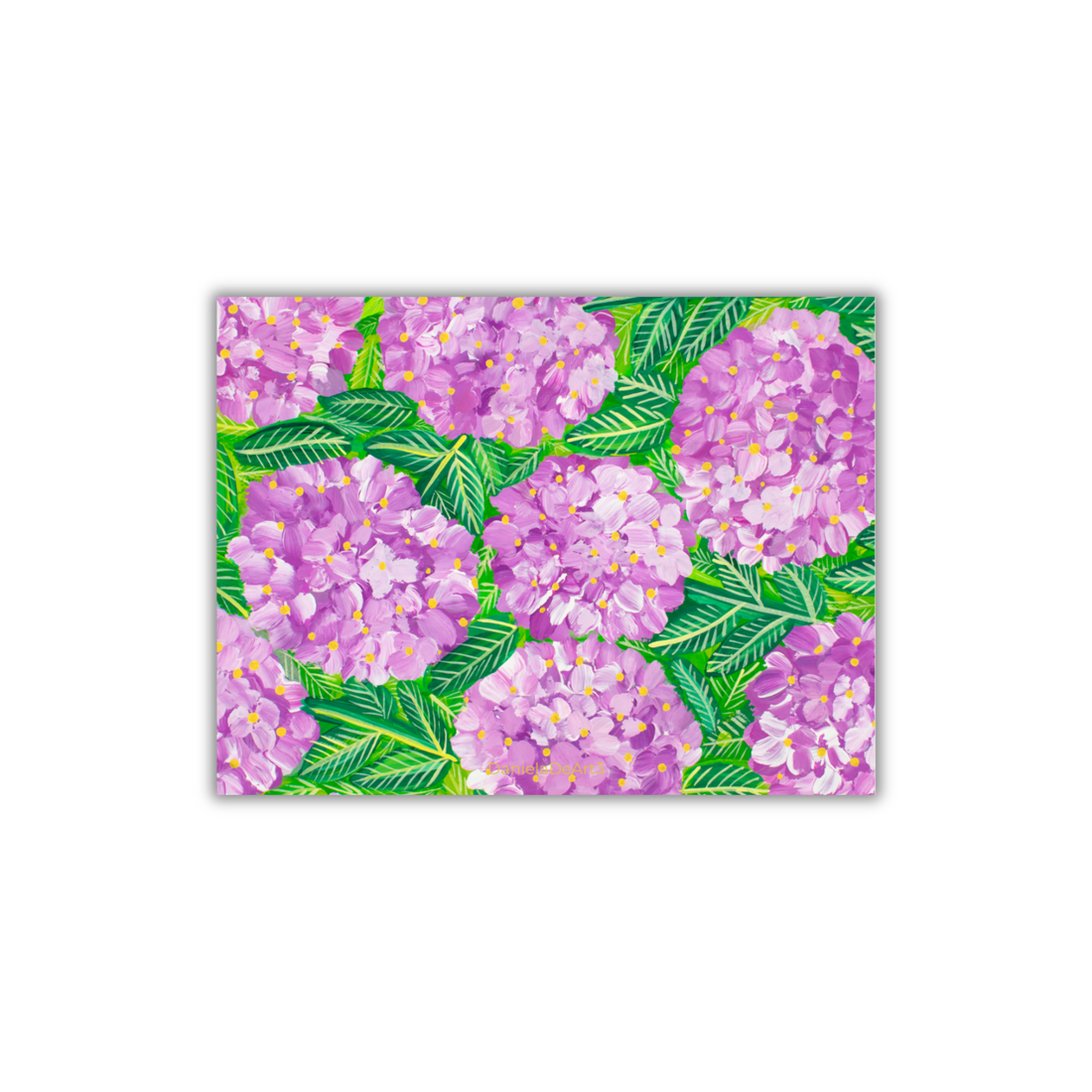 Purple hydrangea Magneto