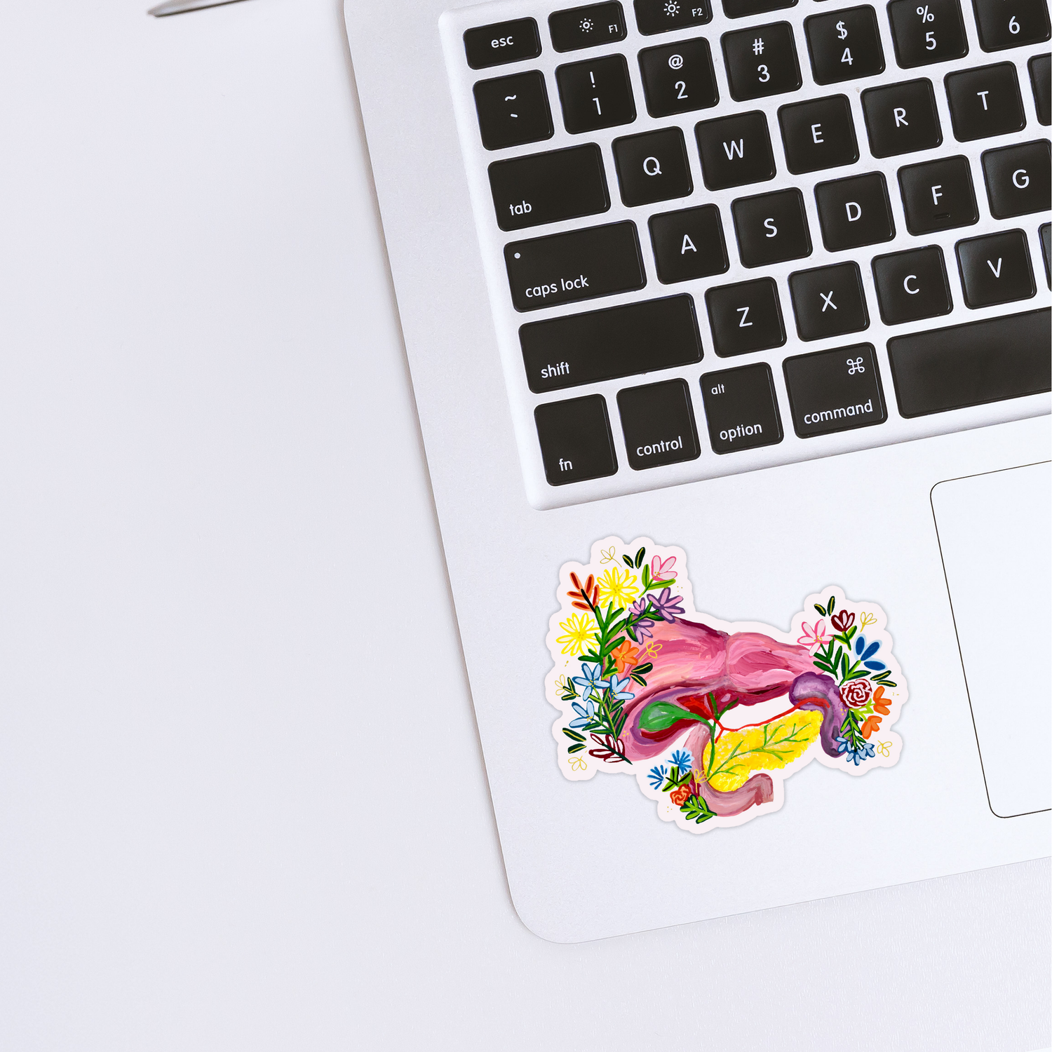 Pancreas and liver sticker waterproof quality vinyl matte