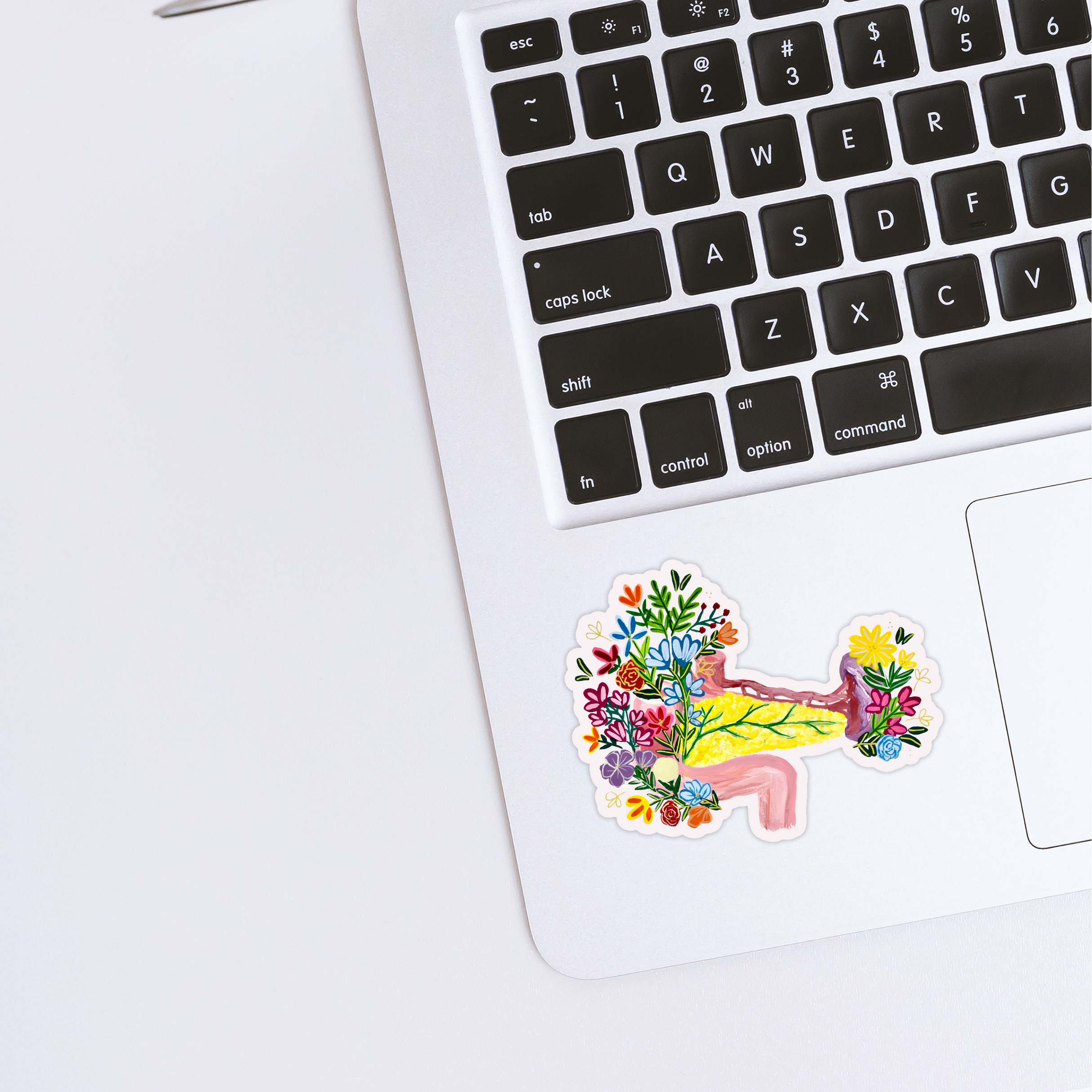 Pancreas sticker waterproof quality vinyl matte