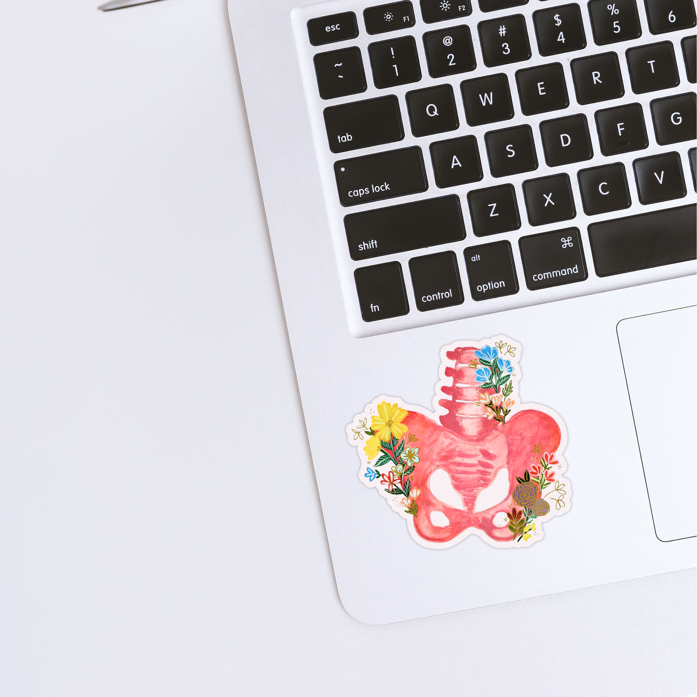 Pelvis Sticker waterproof quality vinyl matte