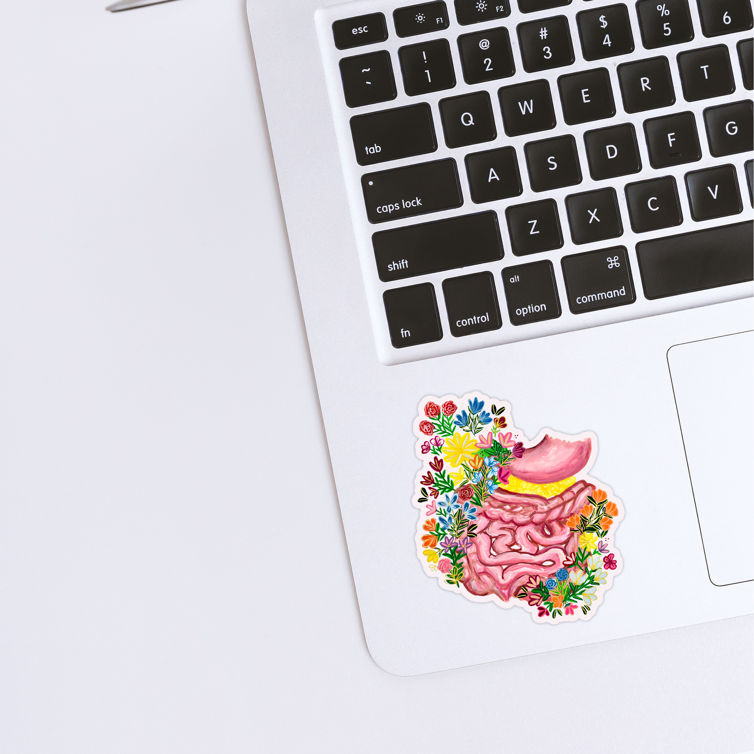 Gastrointestinal sticker waterproof quality vinyl matte