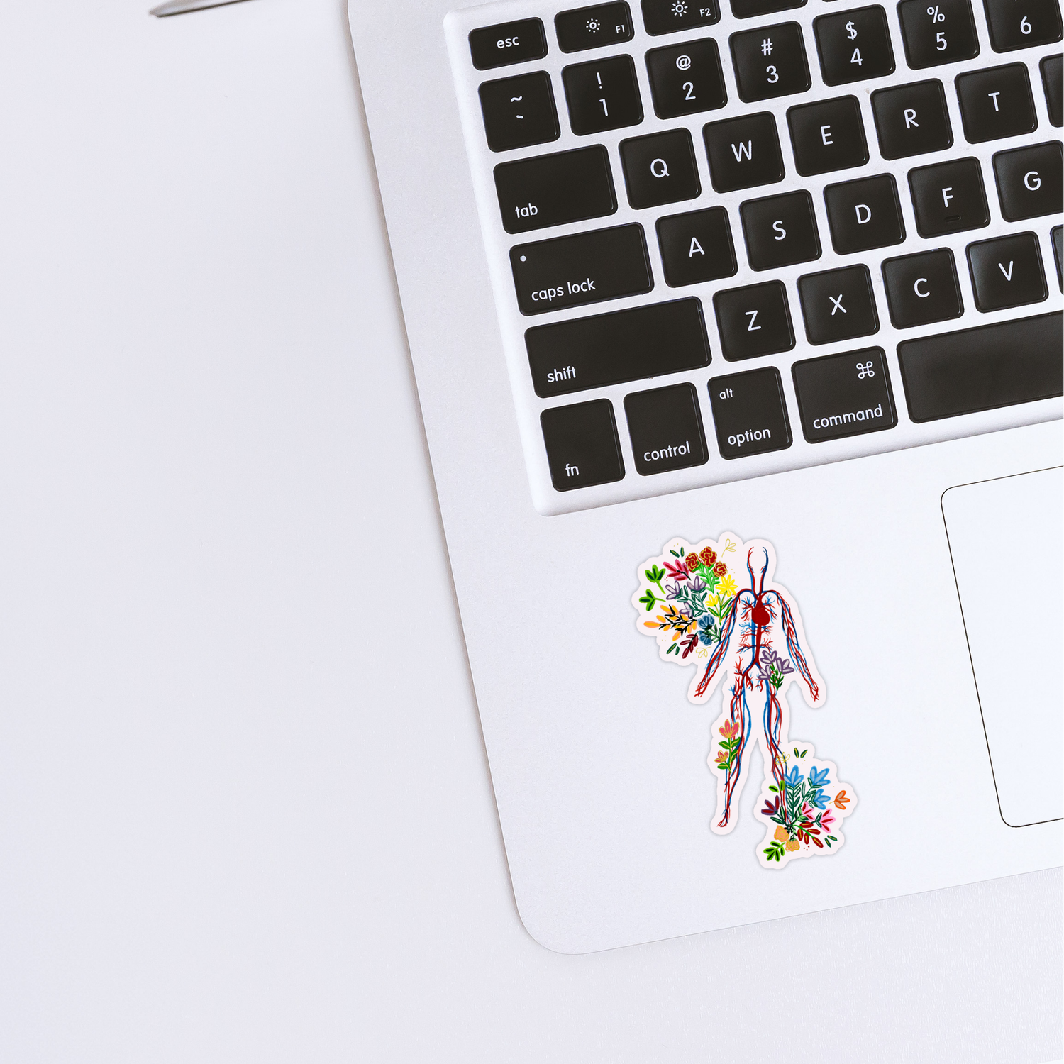 Circulatory System sticker waterproof quality vinyl matte