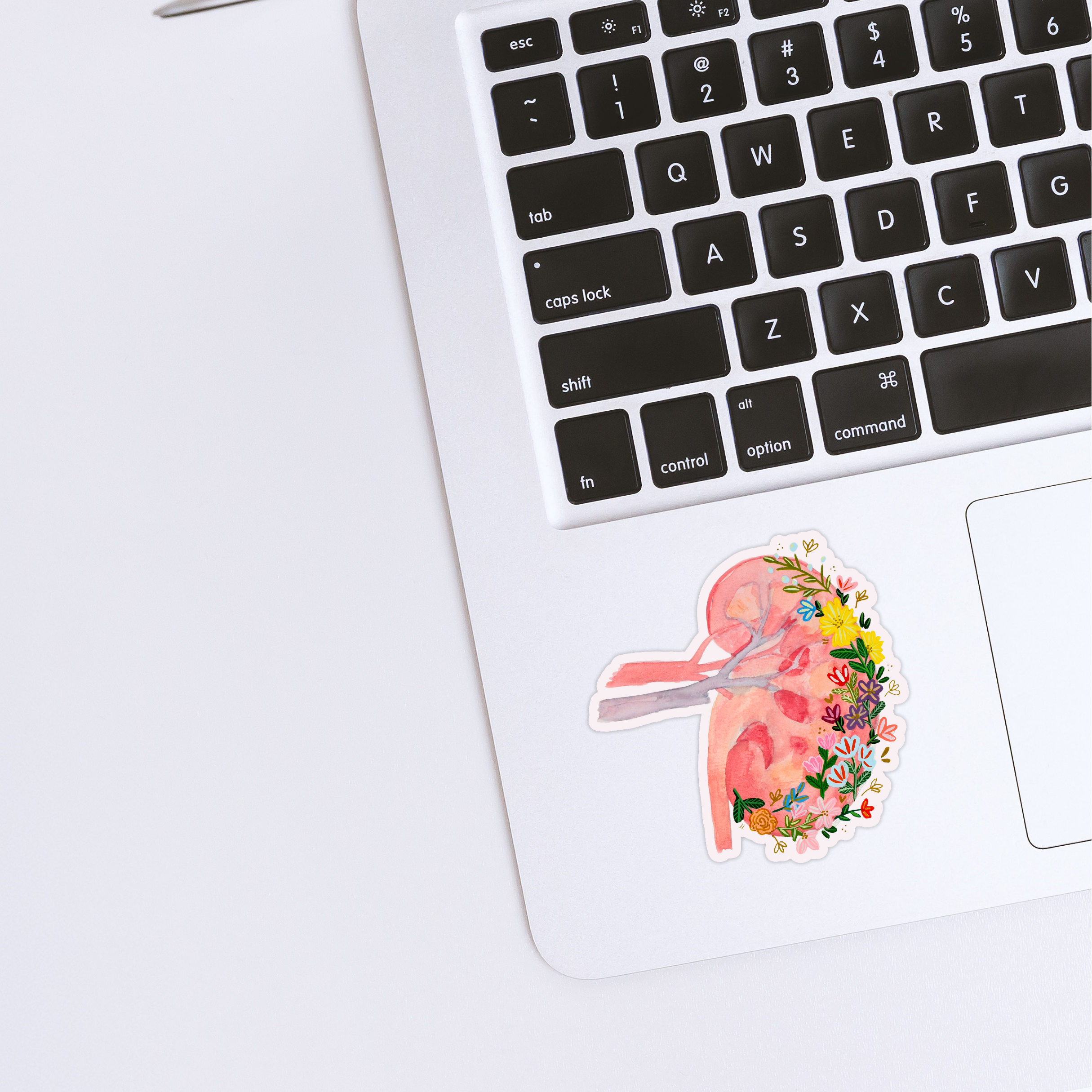Kidney Sticker waterproof quality vinyl matte