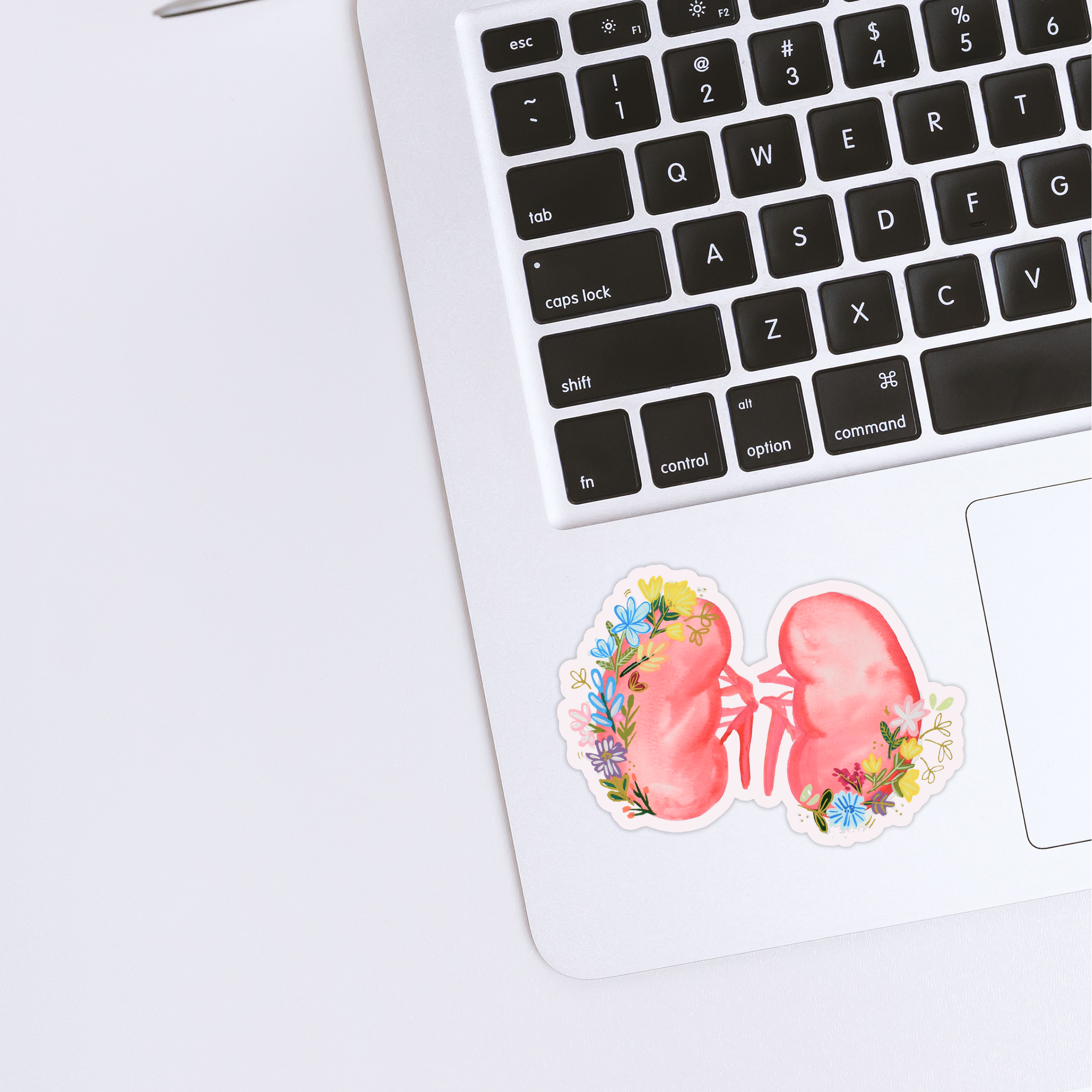 Kidney 2 Sticker waterproof quality vinyl matte
