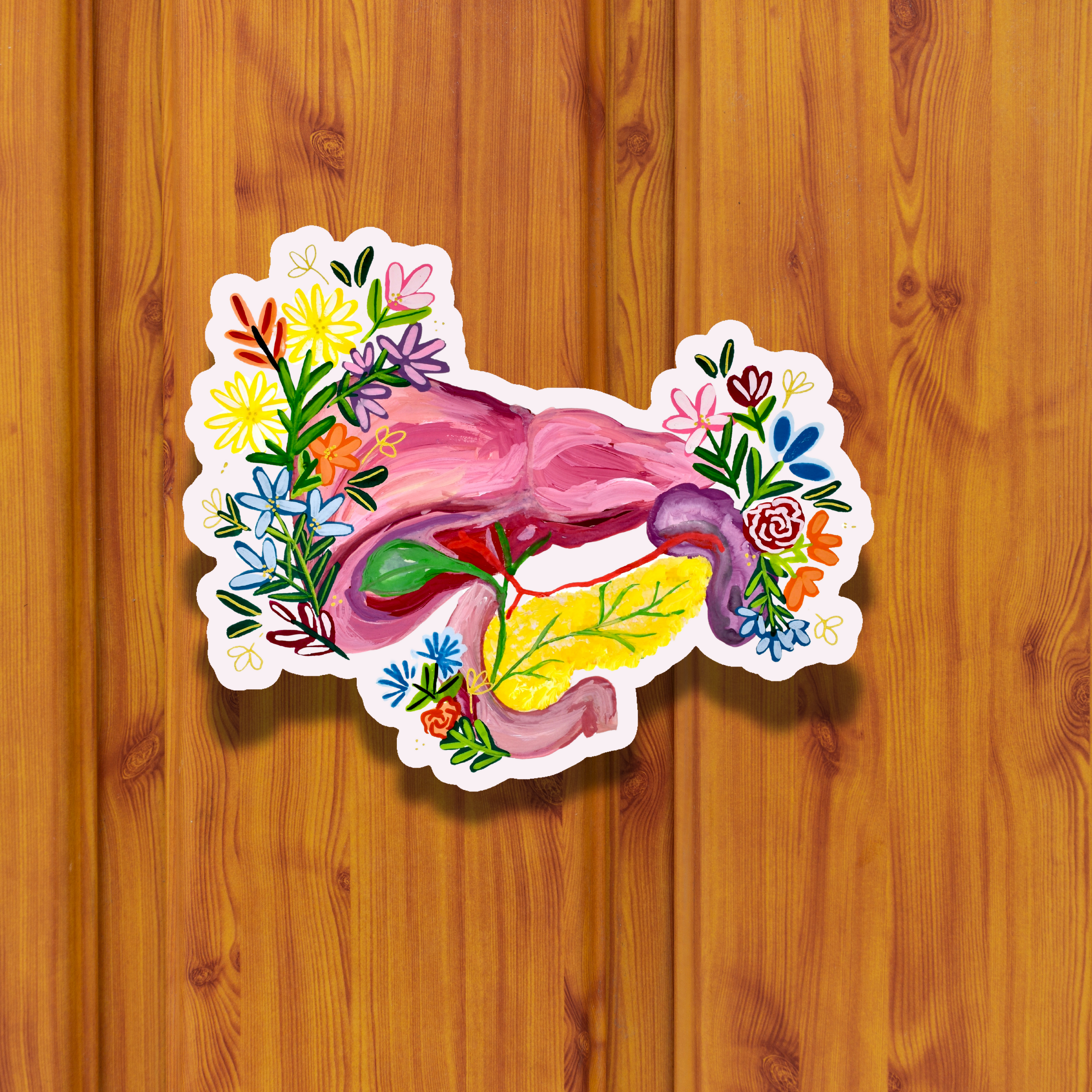 Pancreas and liver sticker waterproof quality vinyl matte
