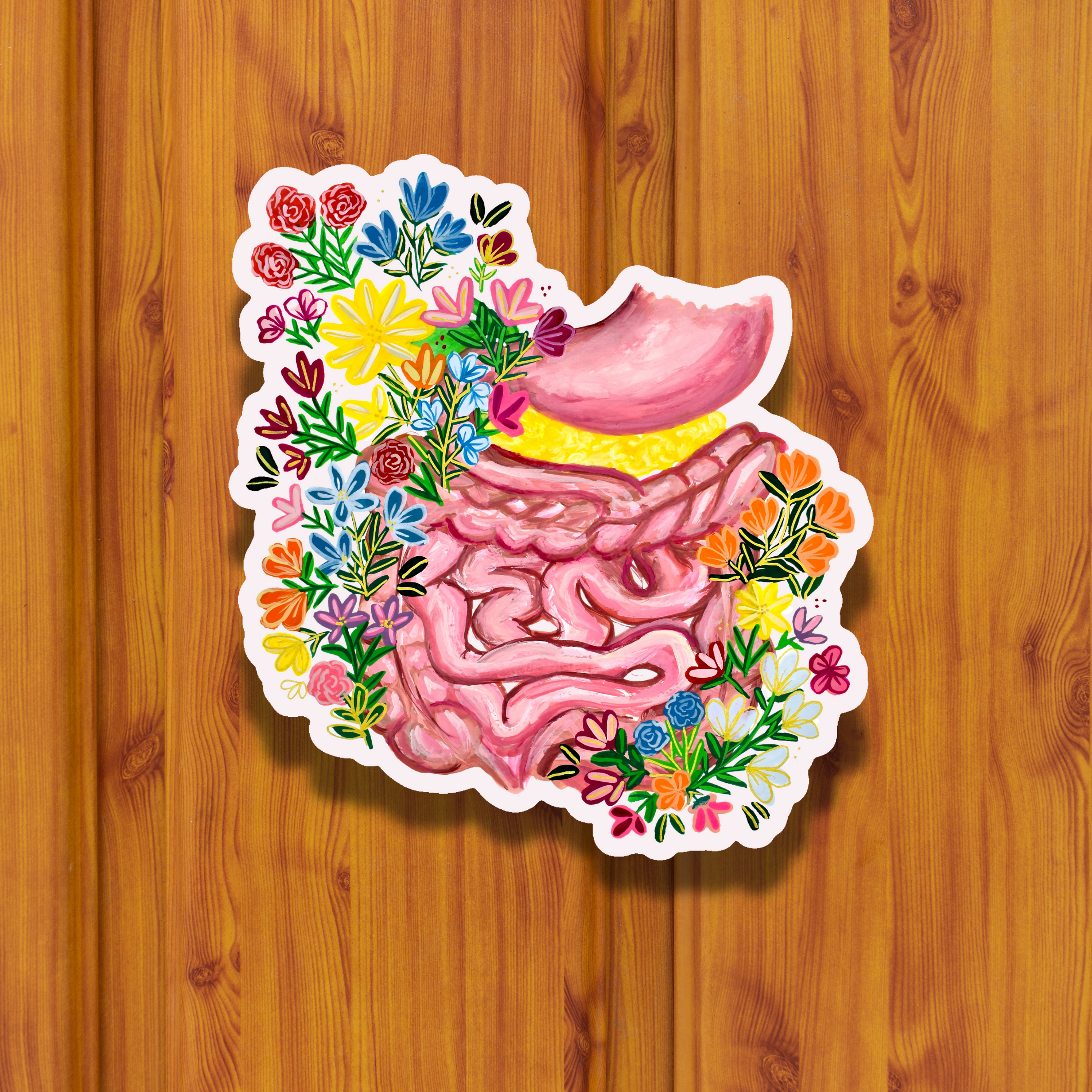 Gastrointestinal sticker waterproof quality vinyl matte