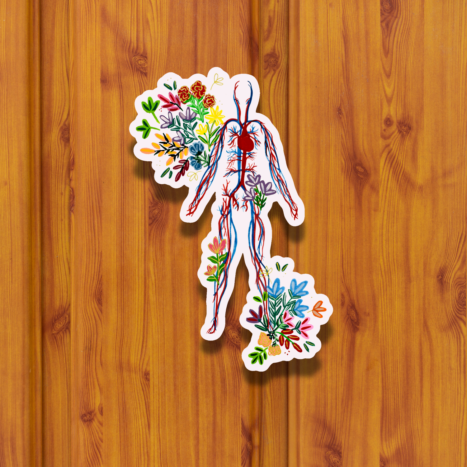 Circulatory System sticker waterproof quality vinyl matte