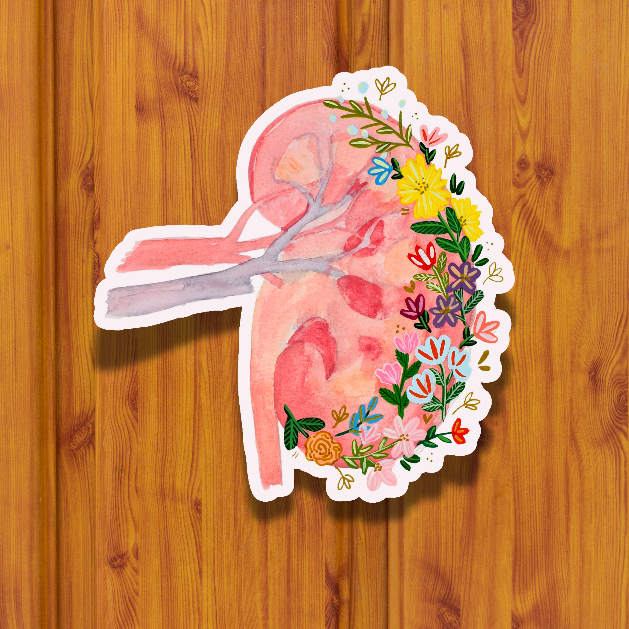 Kidney Sticker waterproof quality vinyl matte