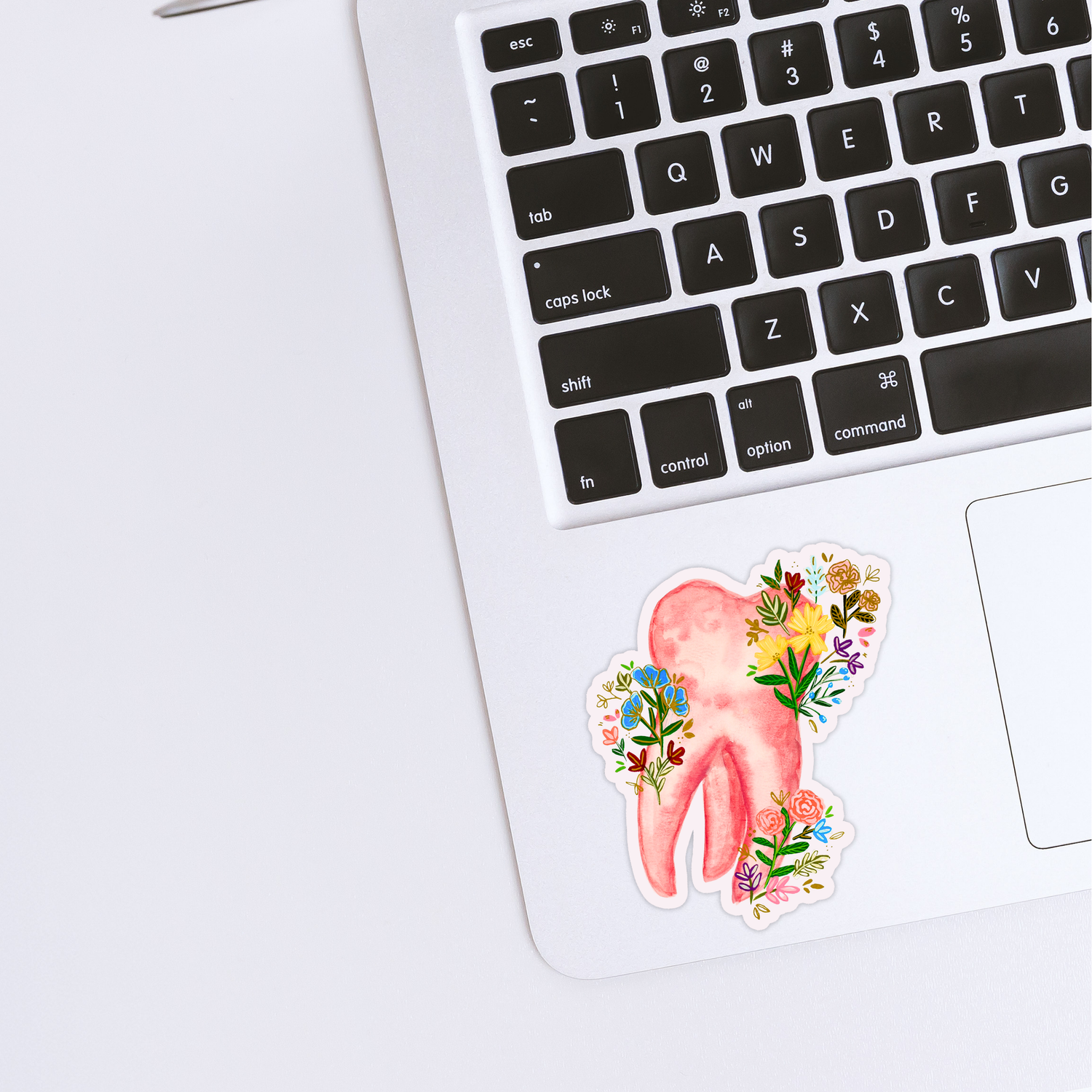 Tooth  Sticker waterproof quality vinyl matte