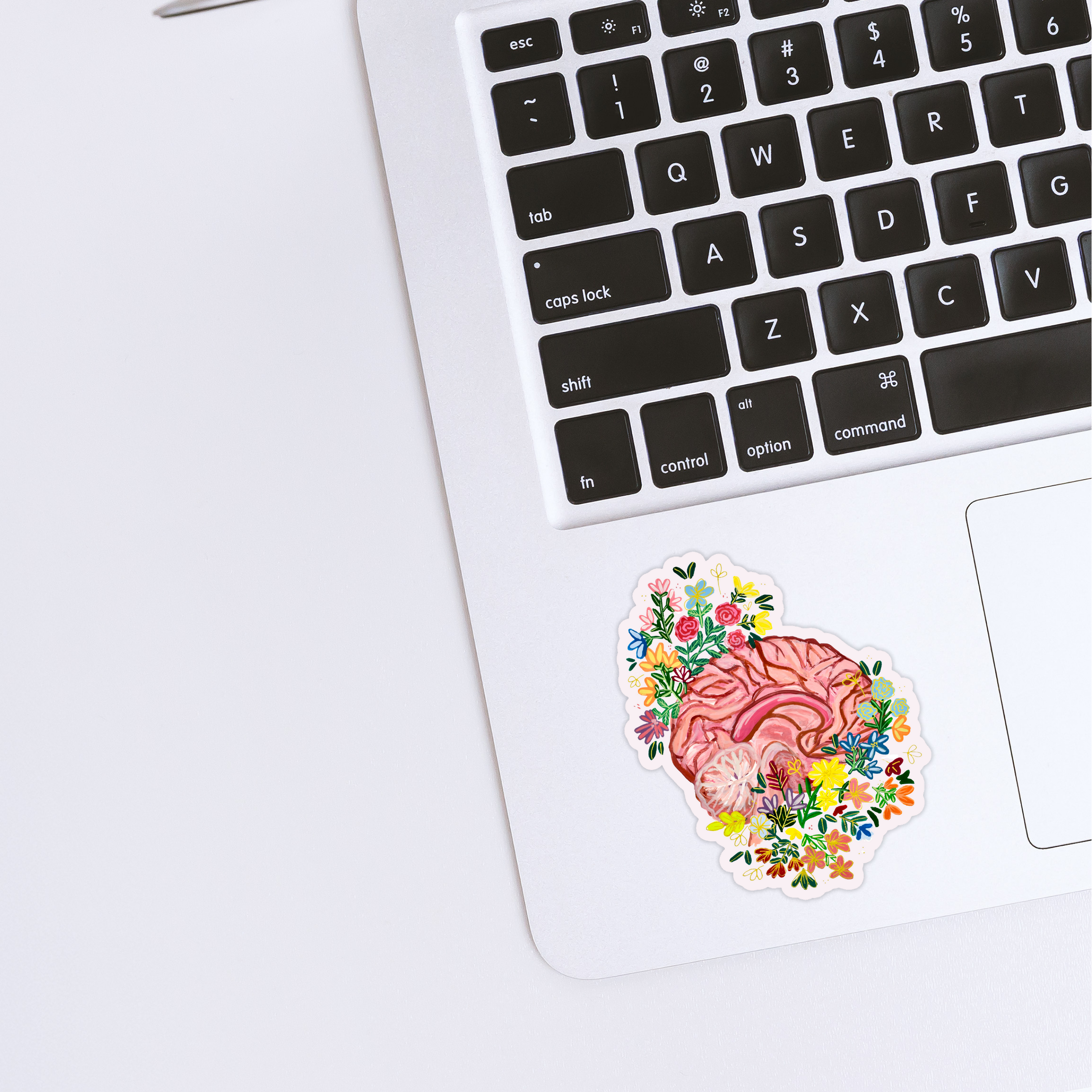 Sagittal brain sticker waterproof quality vinyl matte