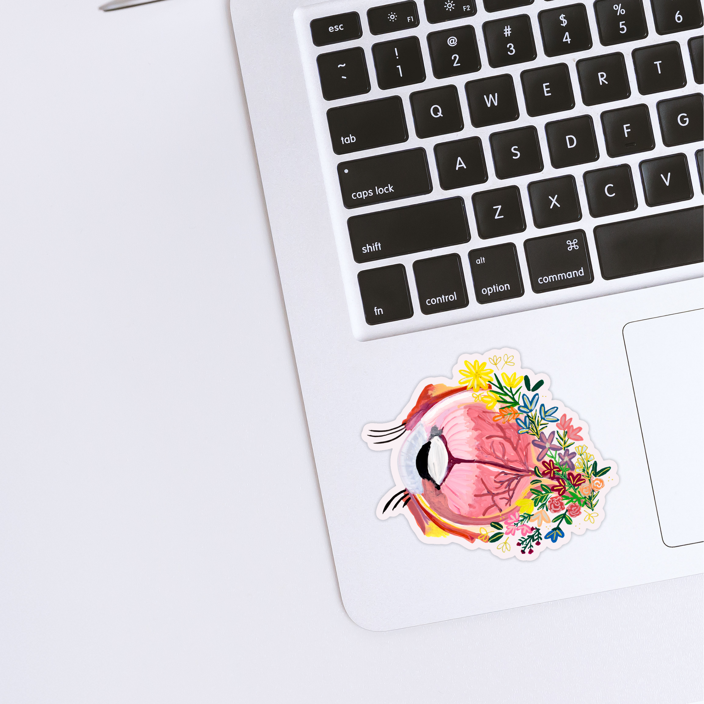Eye sticker waterproof quality vinyl matte