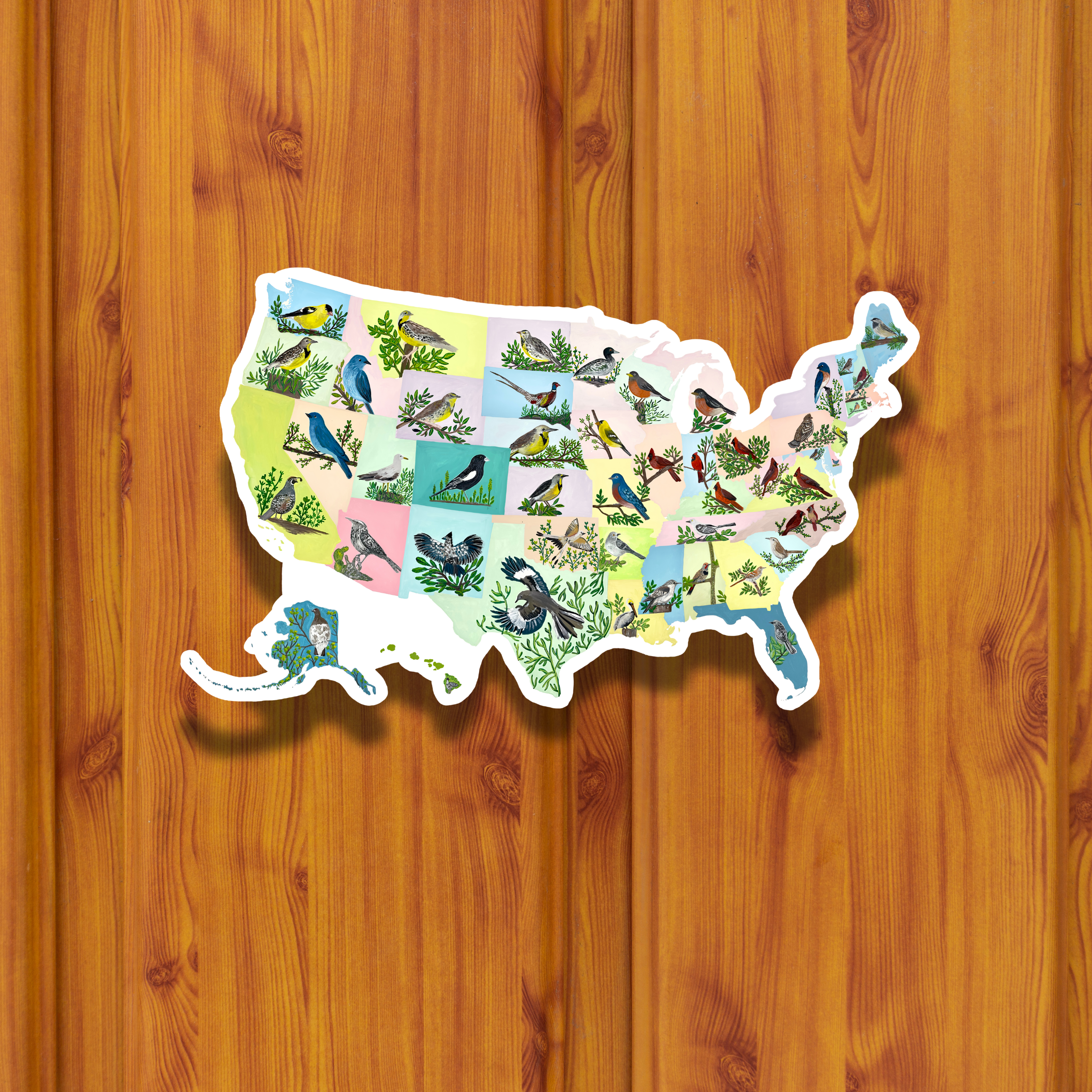 State Birds sticker waterproof quality vinyl matte
