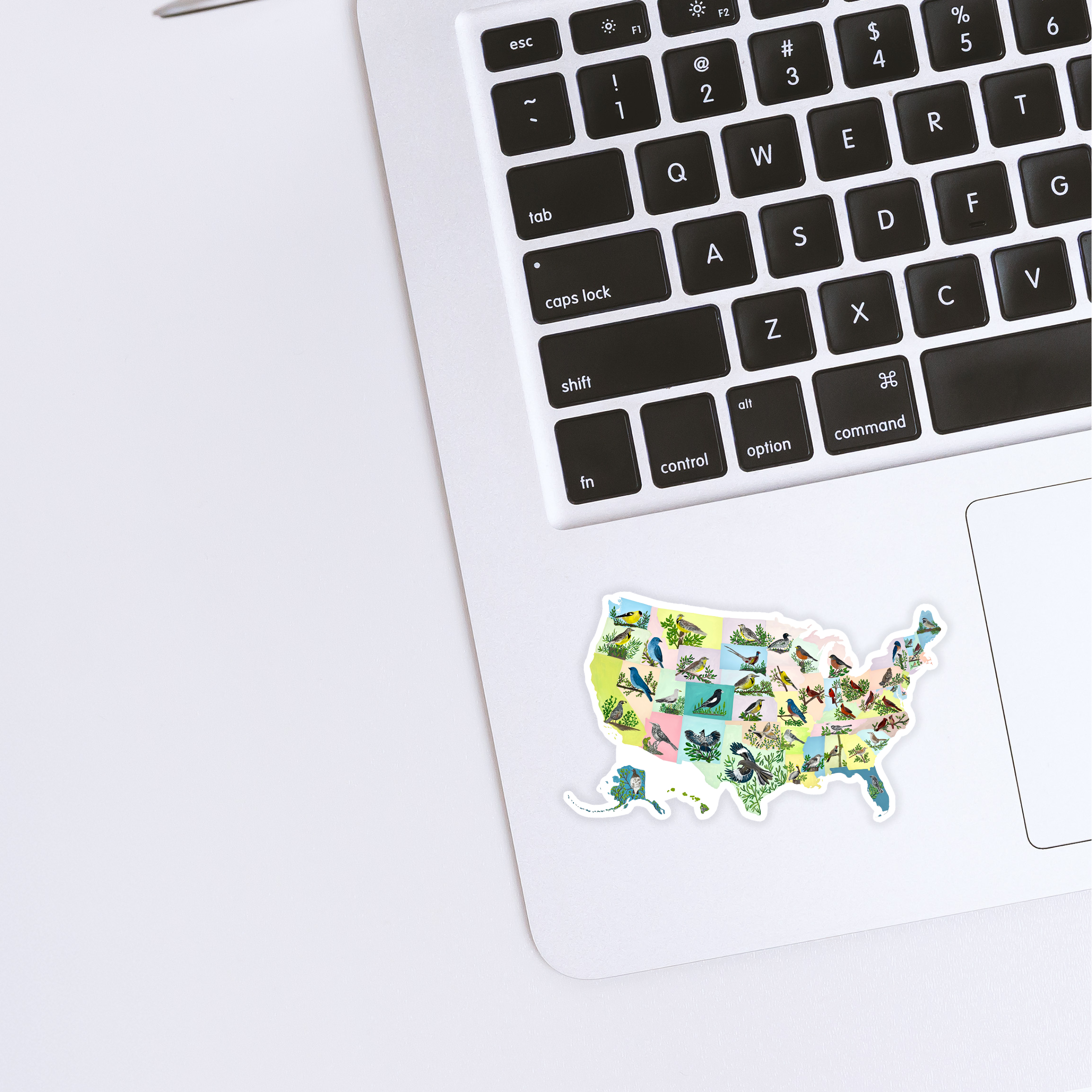 State Birds sticker waterproof quality vinyl matte