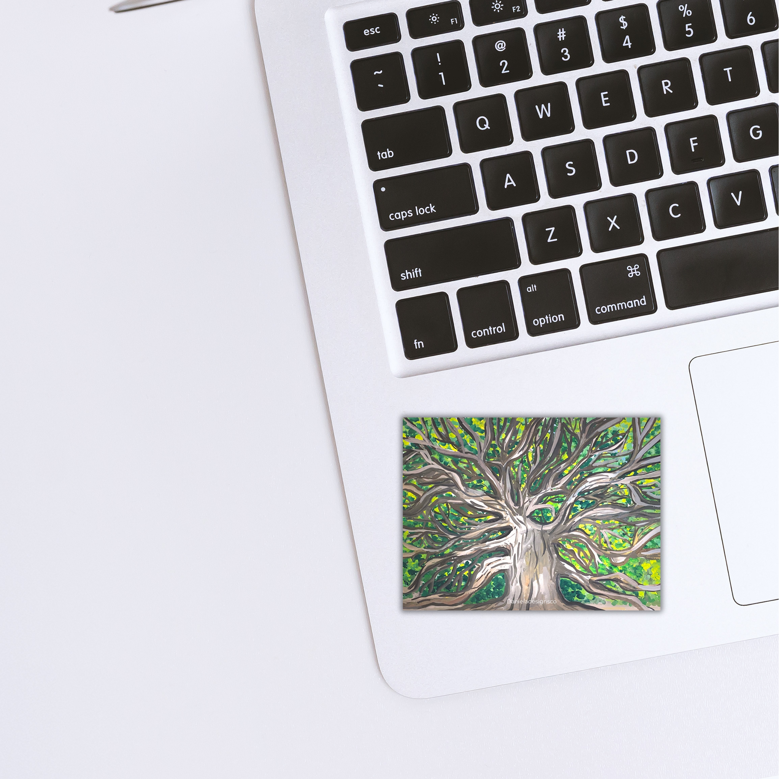Angel Oak Tree Charleston Sticker waterproof quality vinyl matte