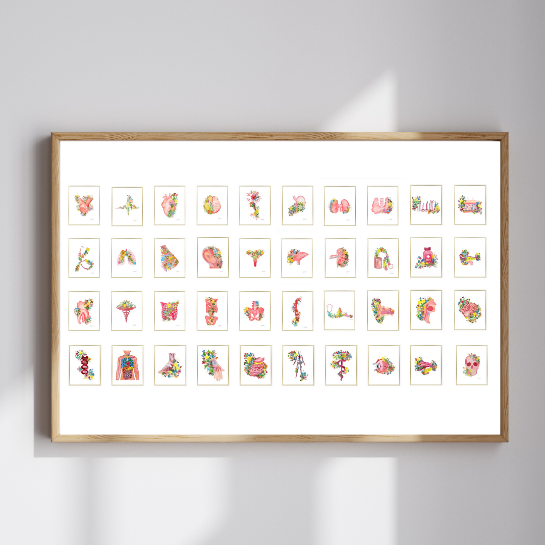 Anatomy &amp; Medicine