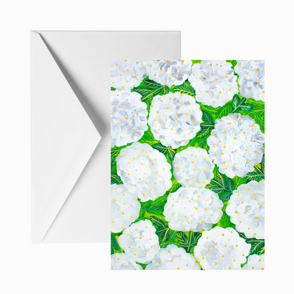 Hydrangeas Greeting Cards (6-designs)