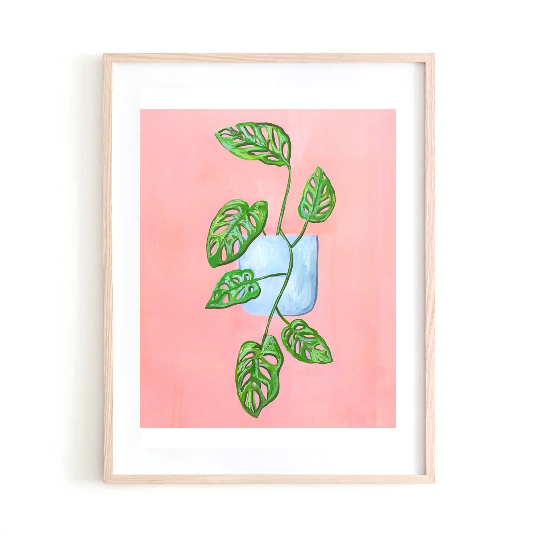 Monstera Adansonii art print