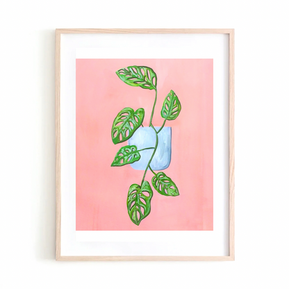 Monstera Adansonii art print