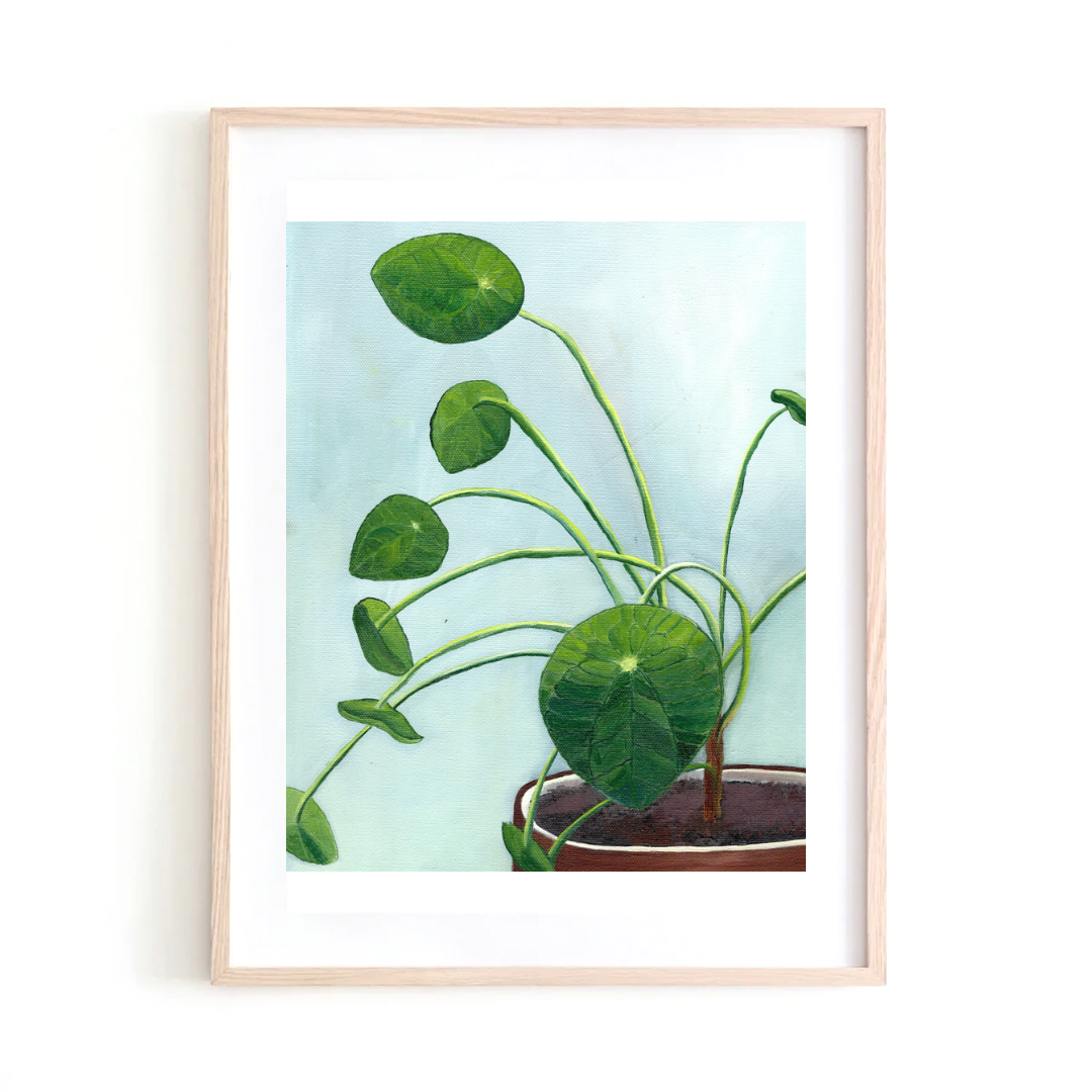 Pilea print