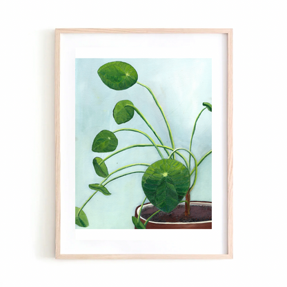 Pilea print