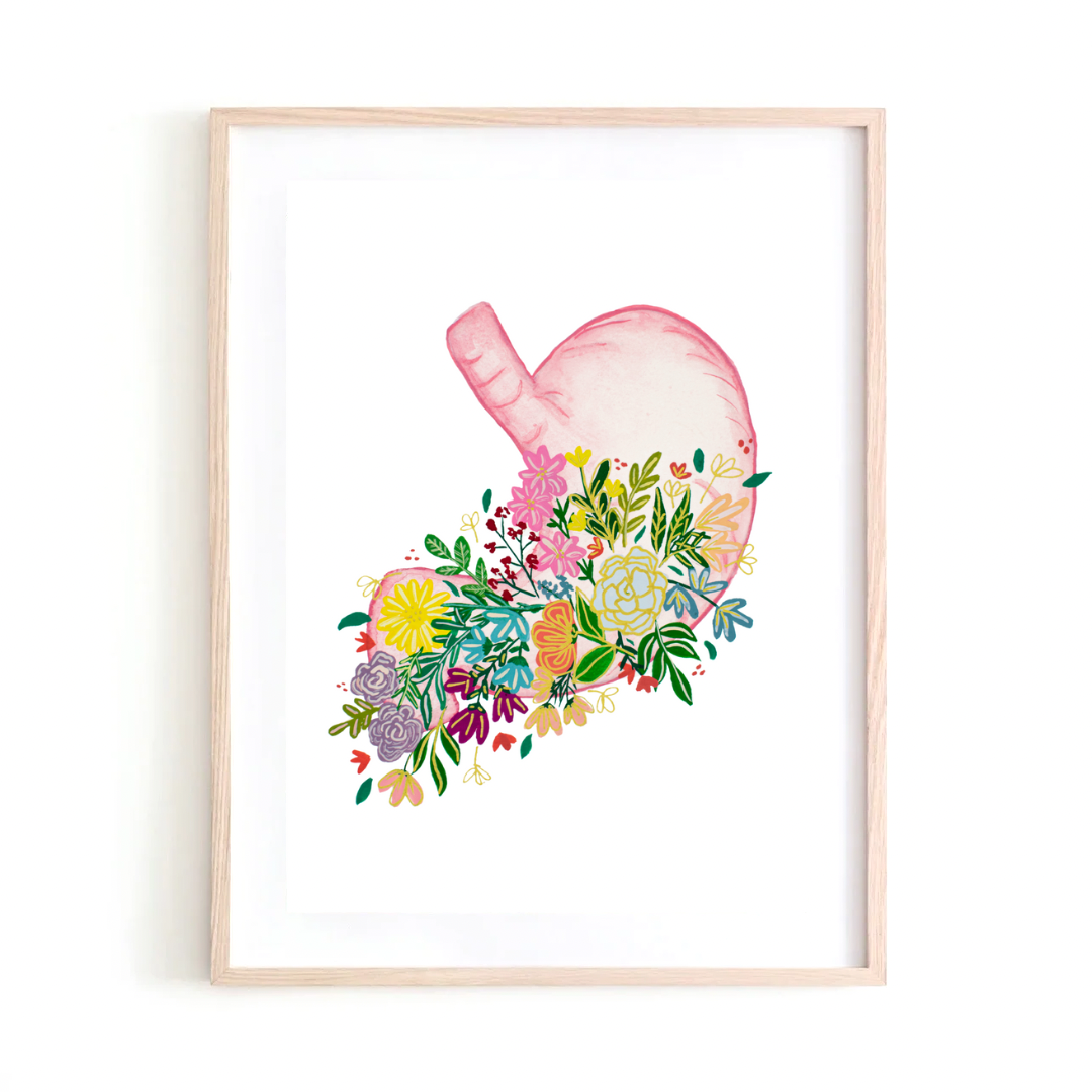 Stomach  art print