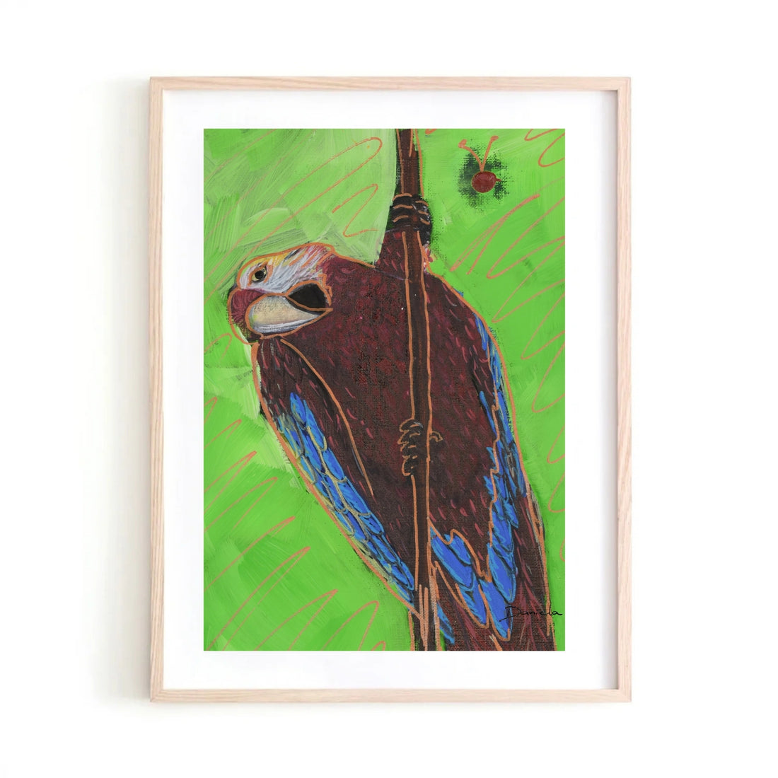 Macaw Art Print