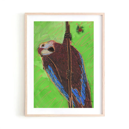 Macaw Art Print