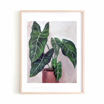 Alocasia art print