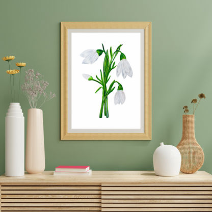 Snowdrop art print