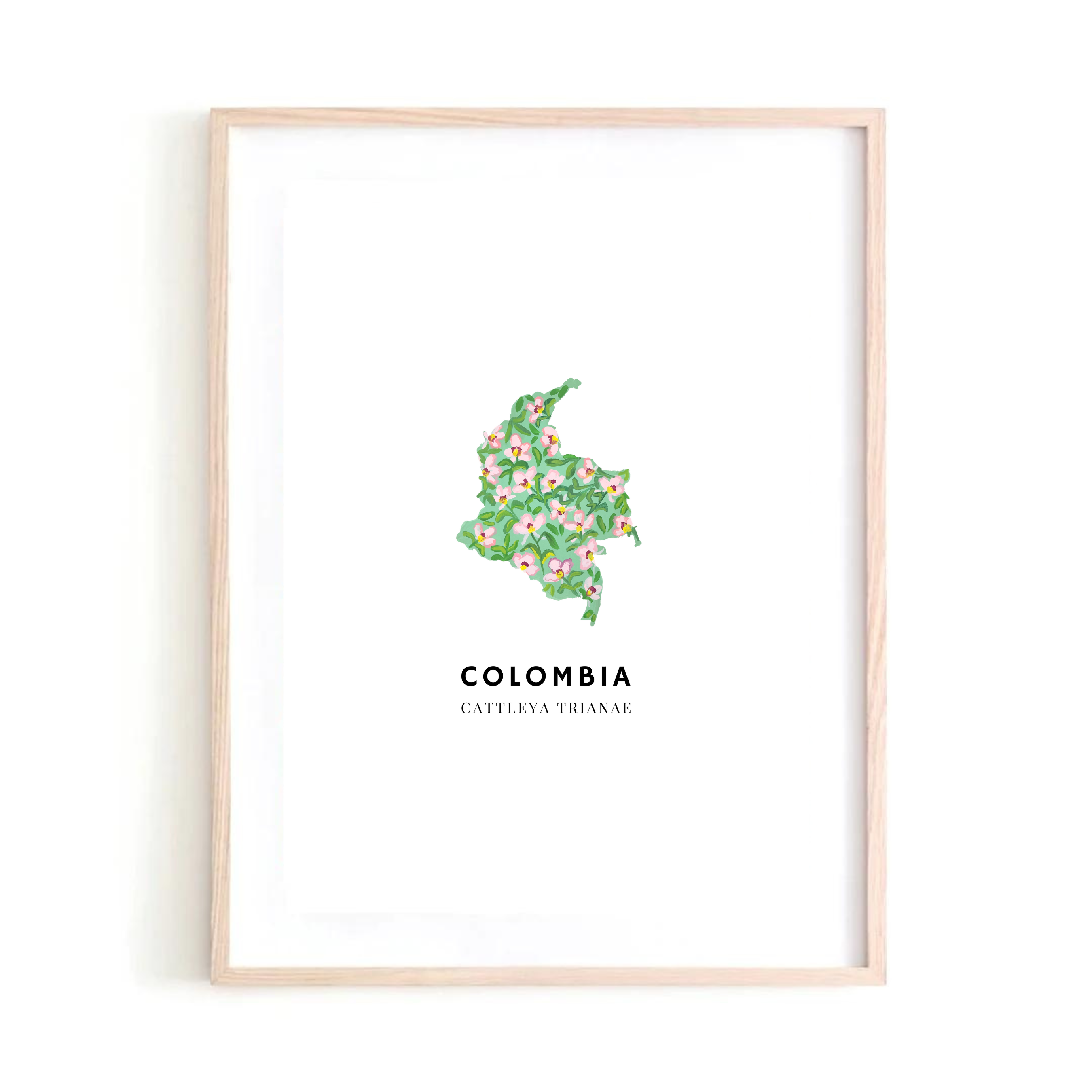 Colombia III art print