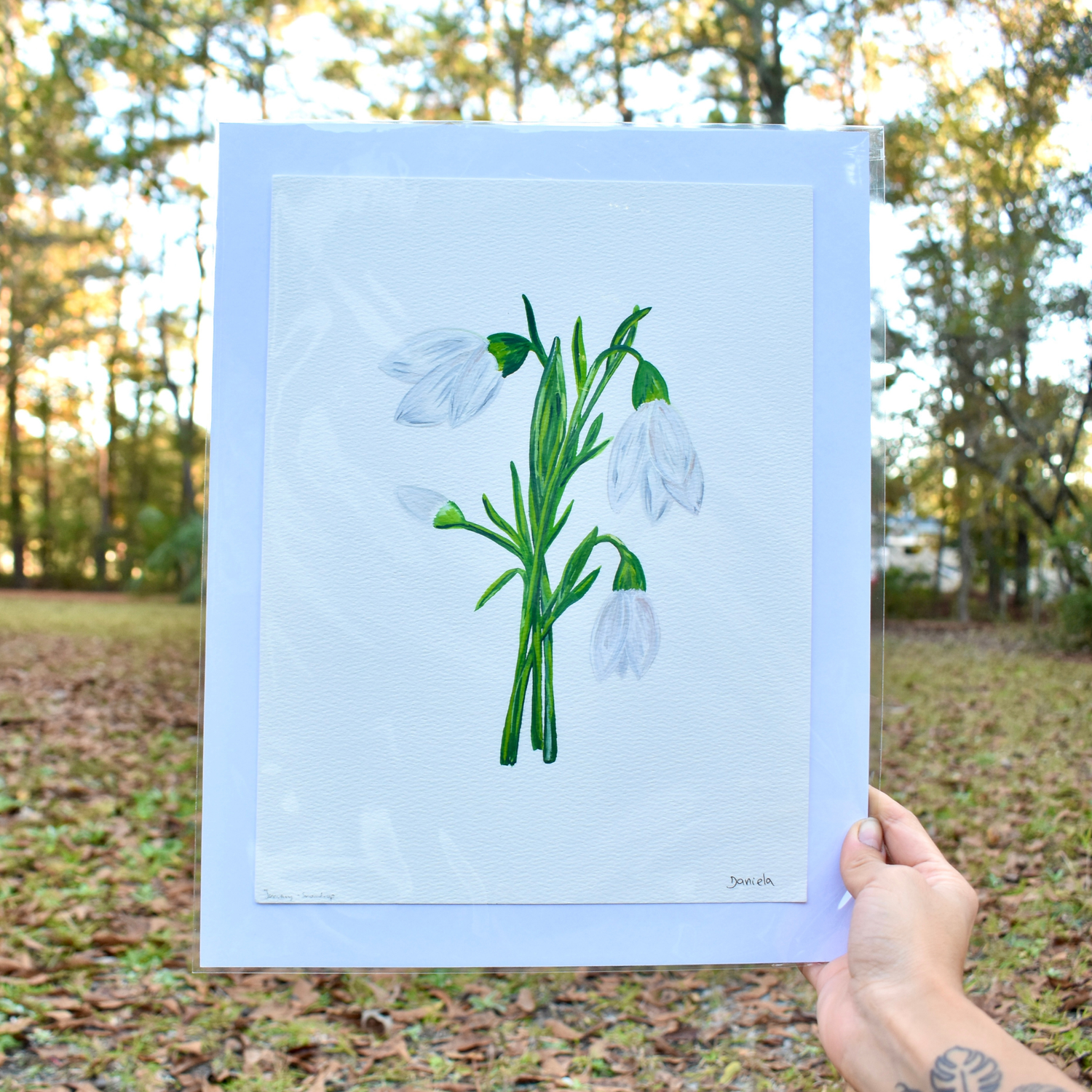 Snowdrop Original