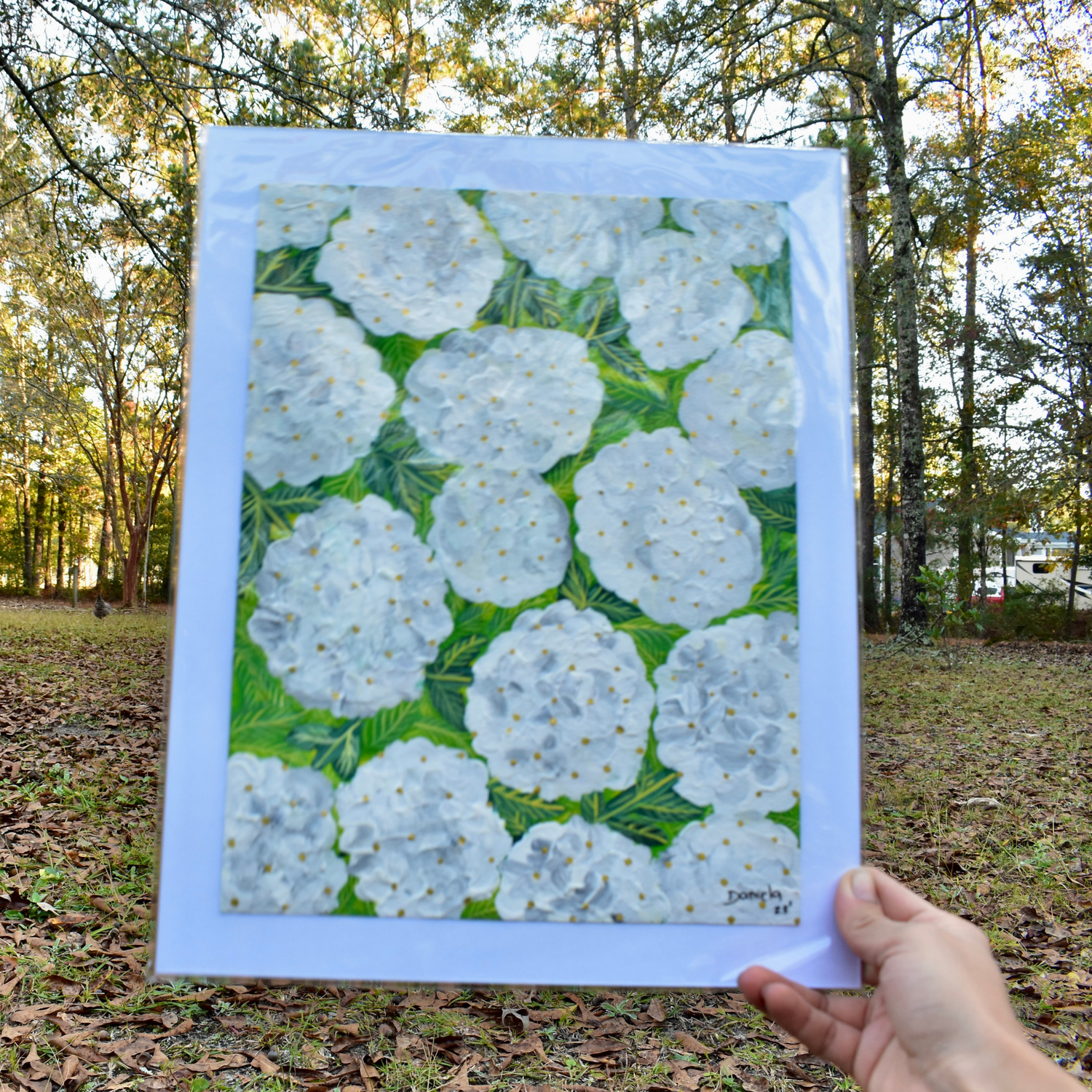 White Hydrangea original