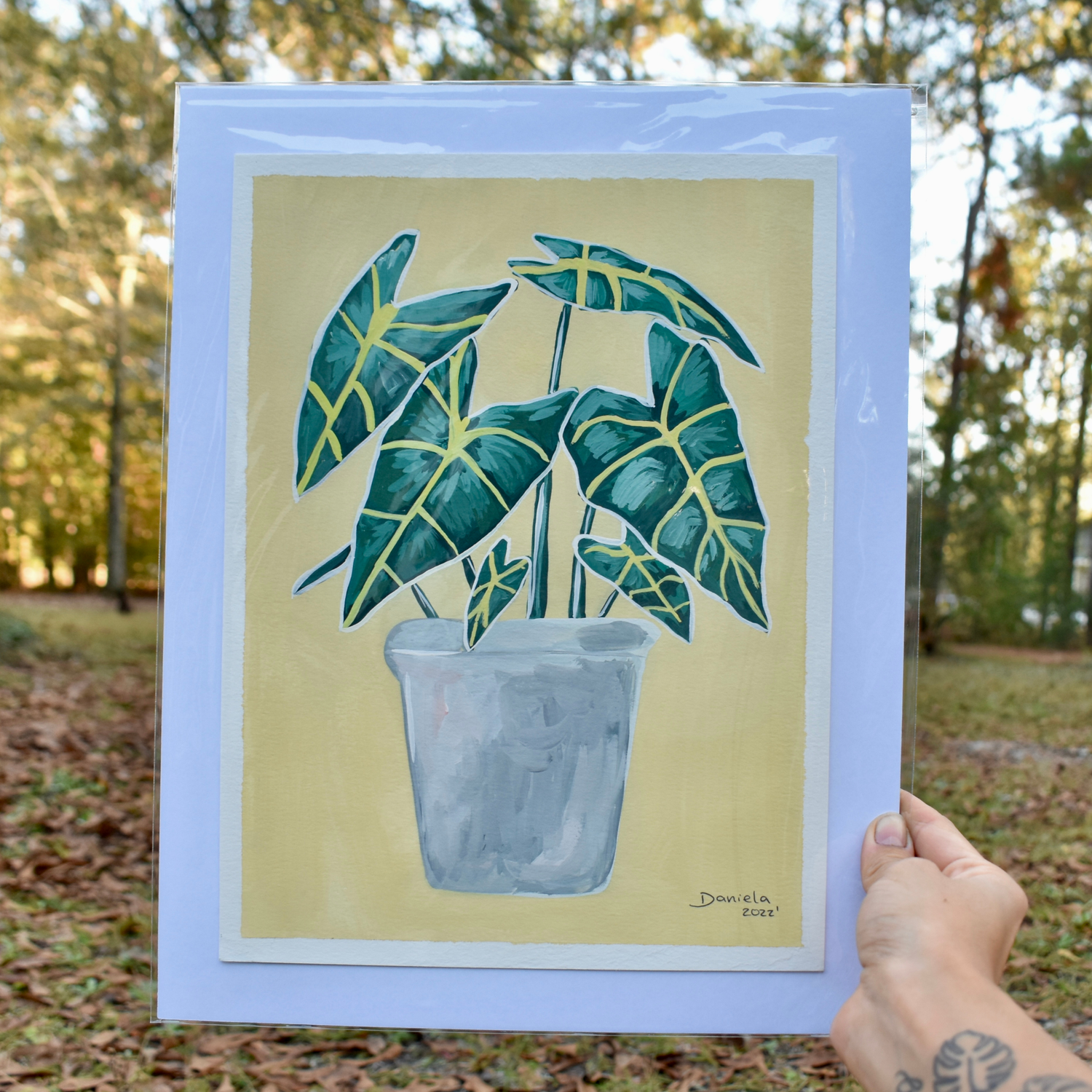 Alocasia on Yellow original