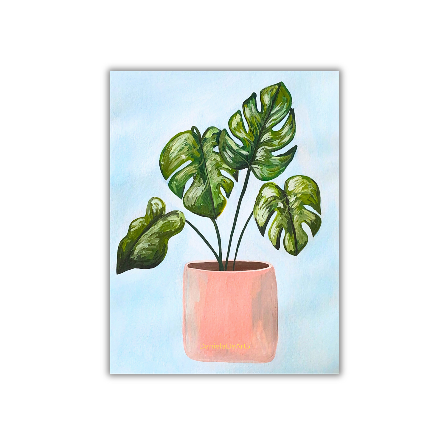 Monstera plant Magneto