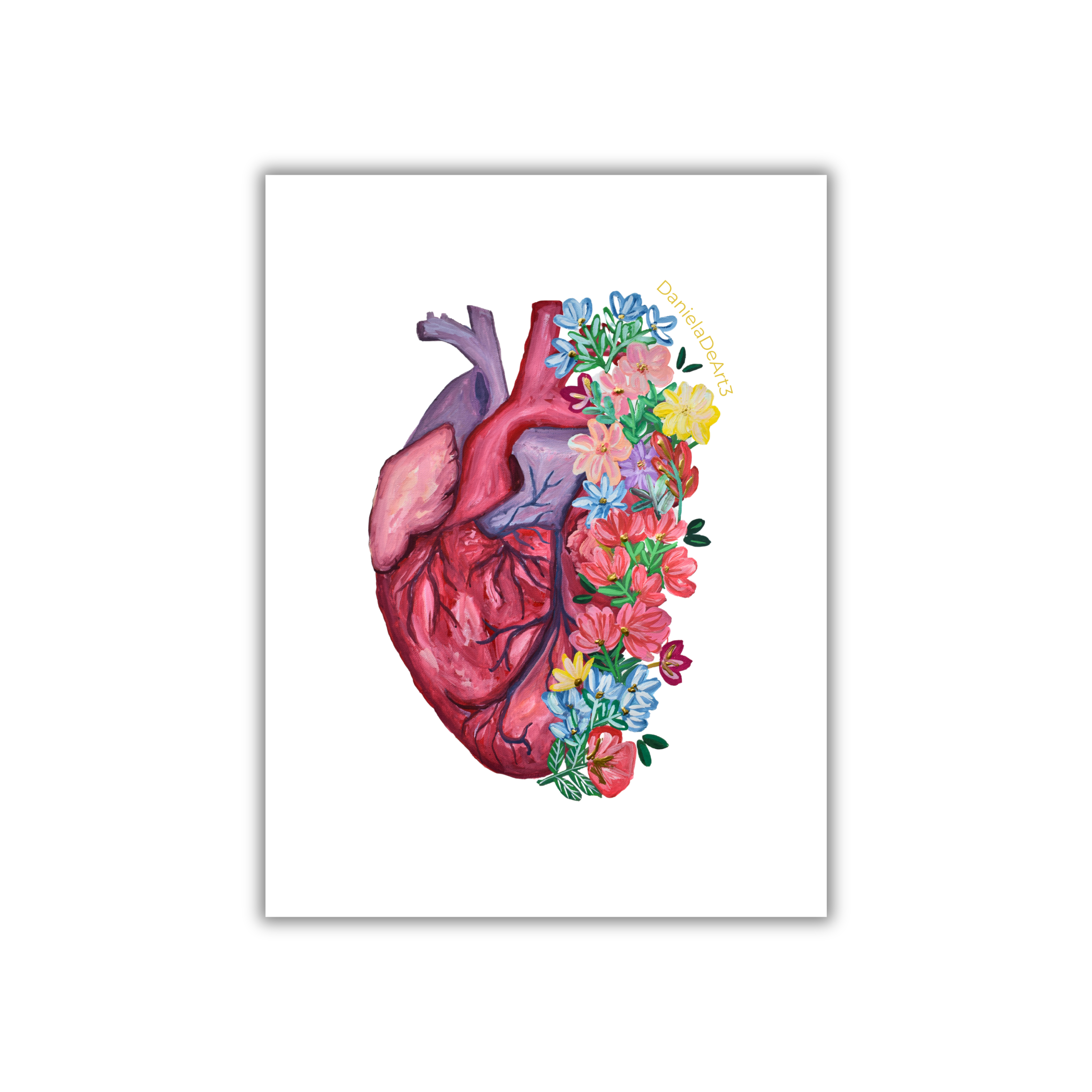 Anatomy heart 2 magneto