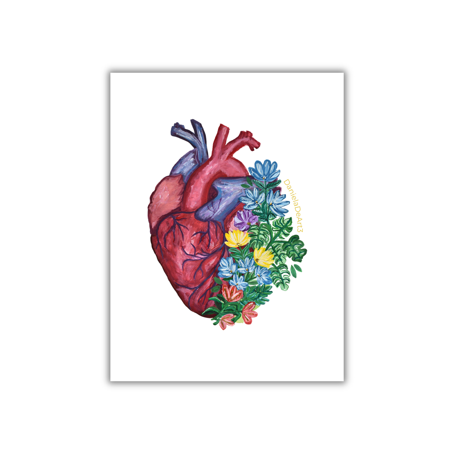 Anatomy heart 1 magneto