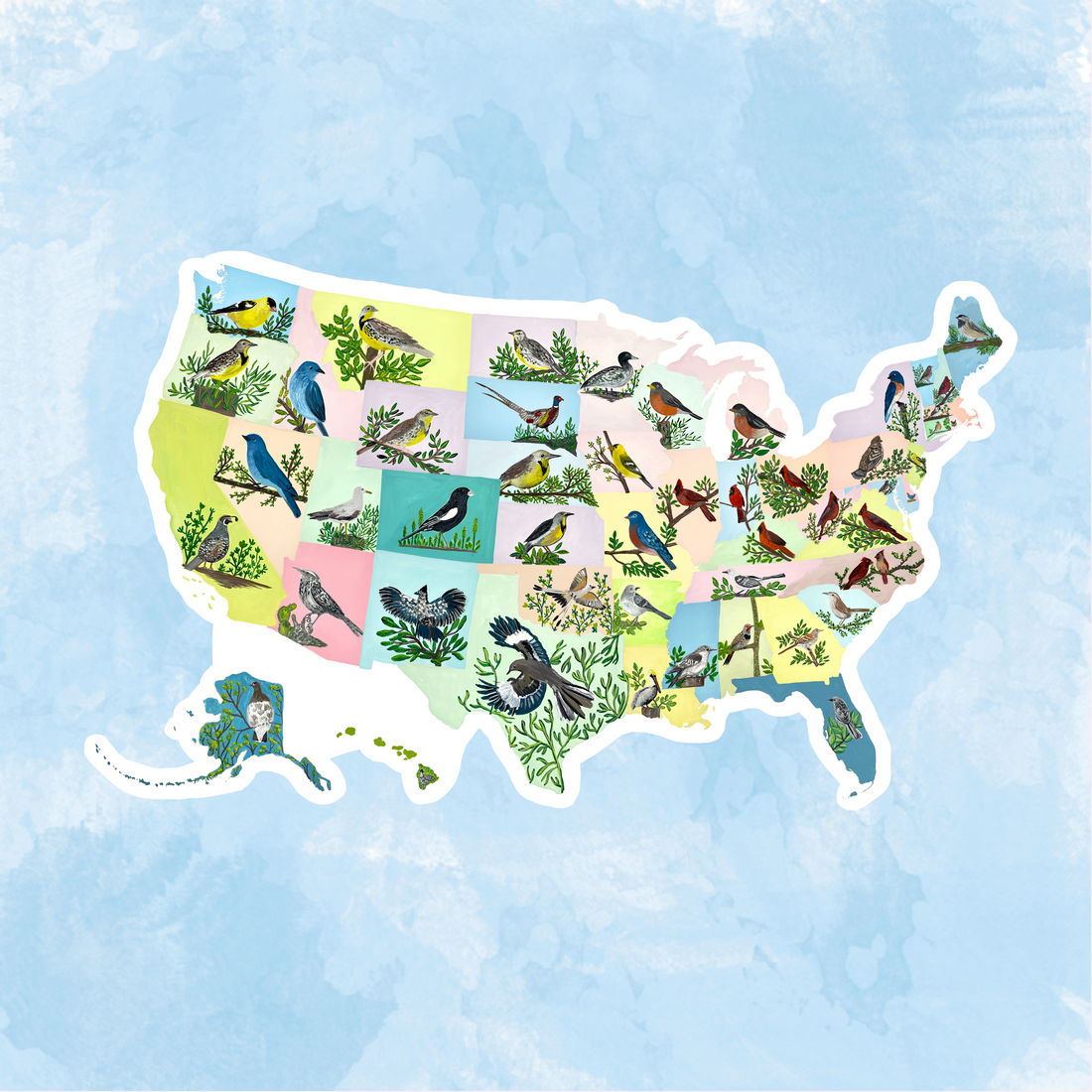 State Birds sticker waterproof quality vinyl matte