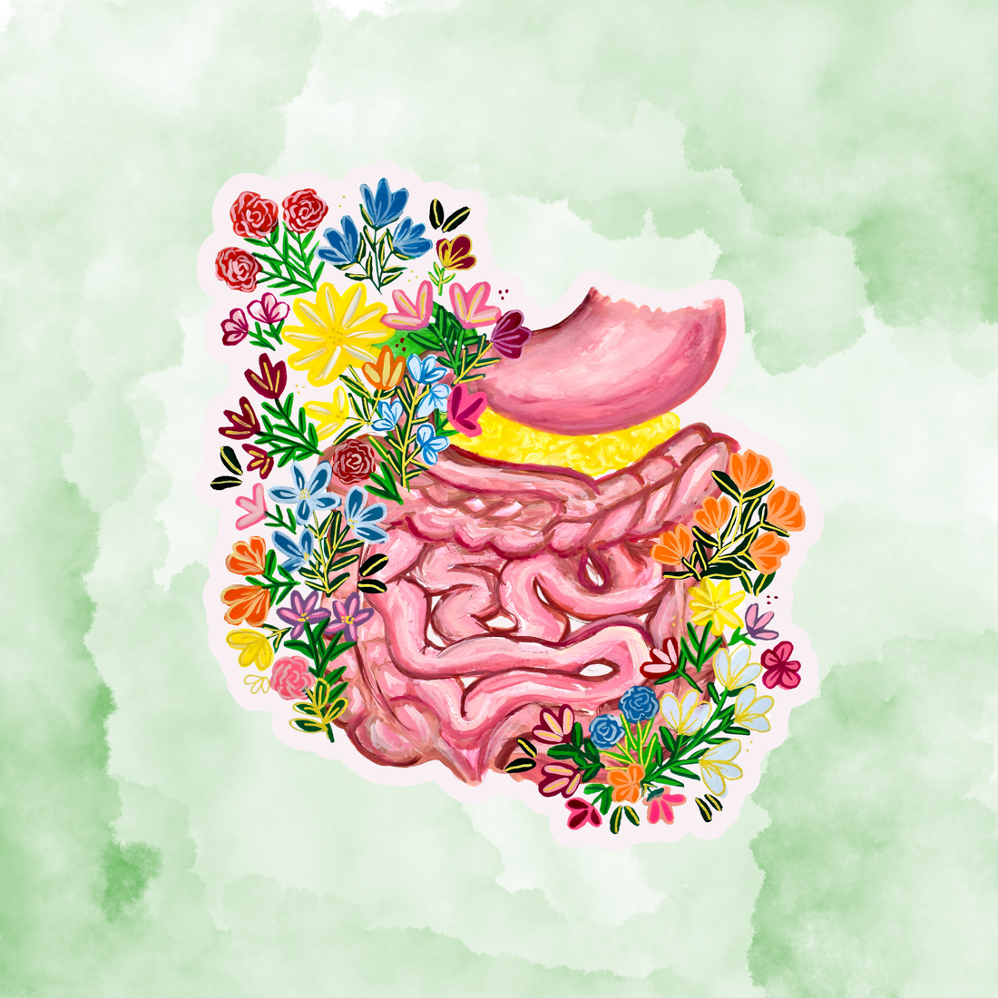 Gastrointestinal sticker waterproof quality vinyl matte