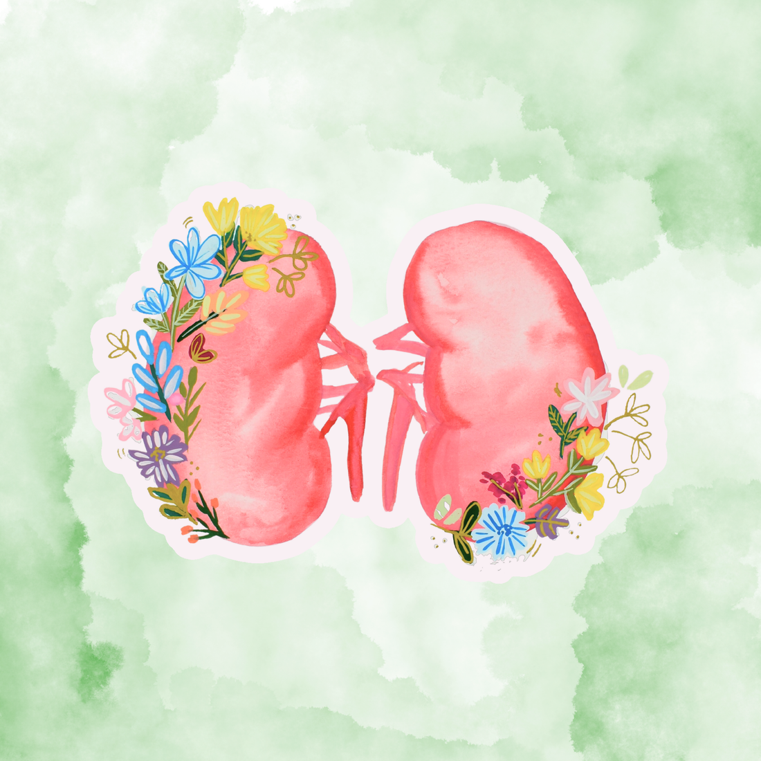 Kidney 2 Sticker waterproof quality vinyl matte