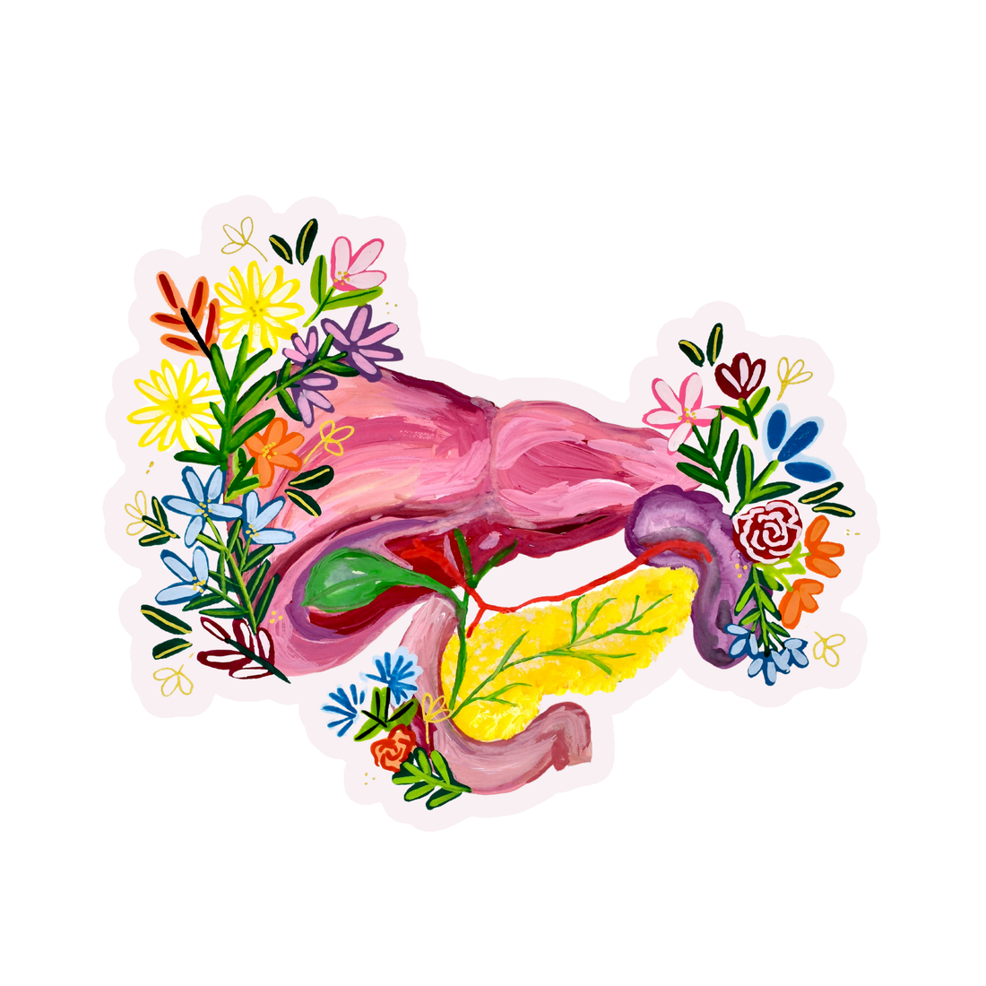 Pancreas and liver sticker waterproof quality vinyl matte