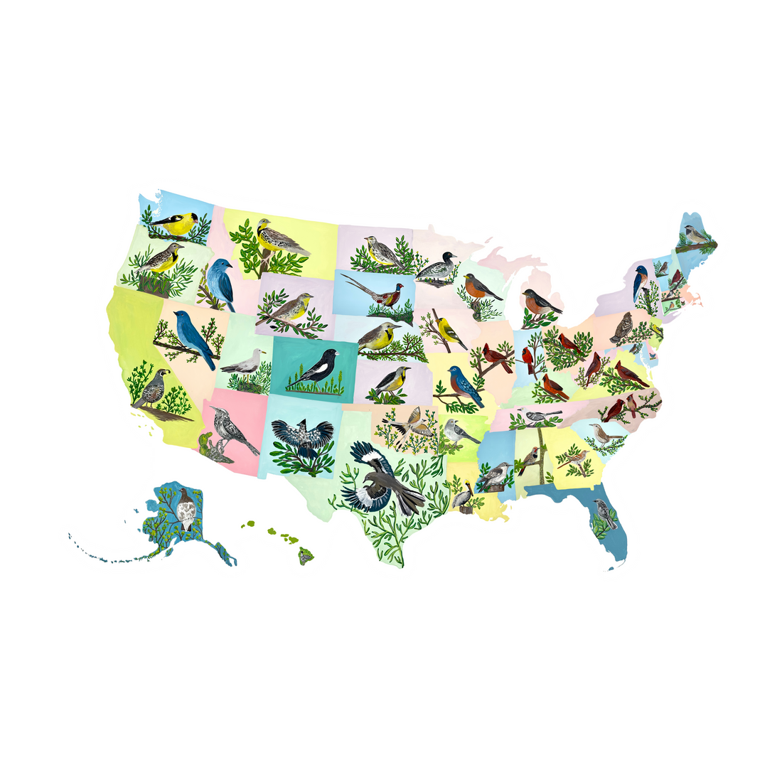 State Birds sticker waterproof quality vinyl matte