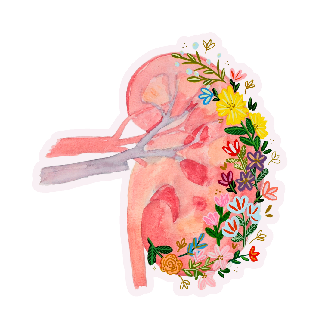 Kidney Sticker waterproof quality vinyl matte