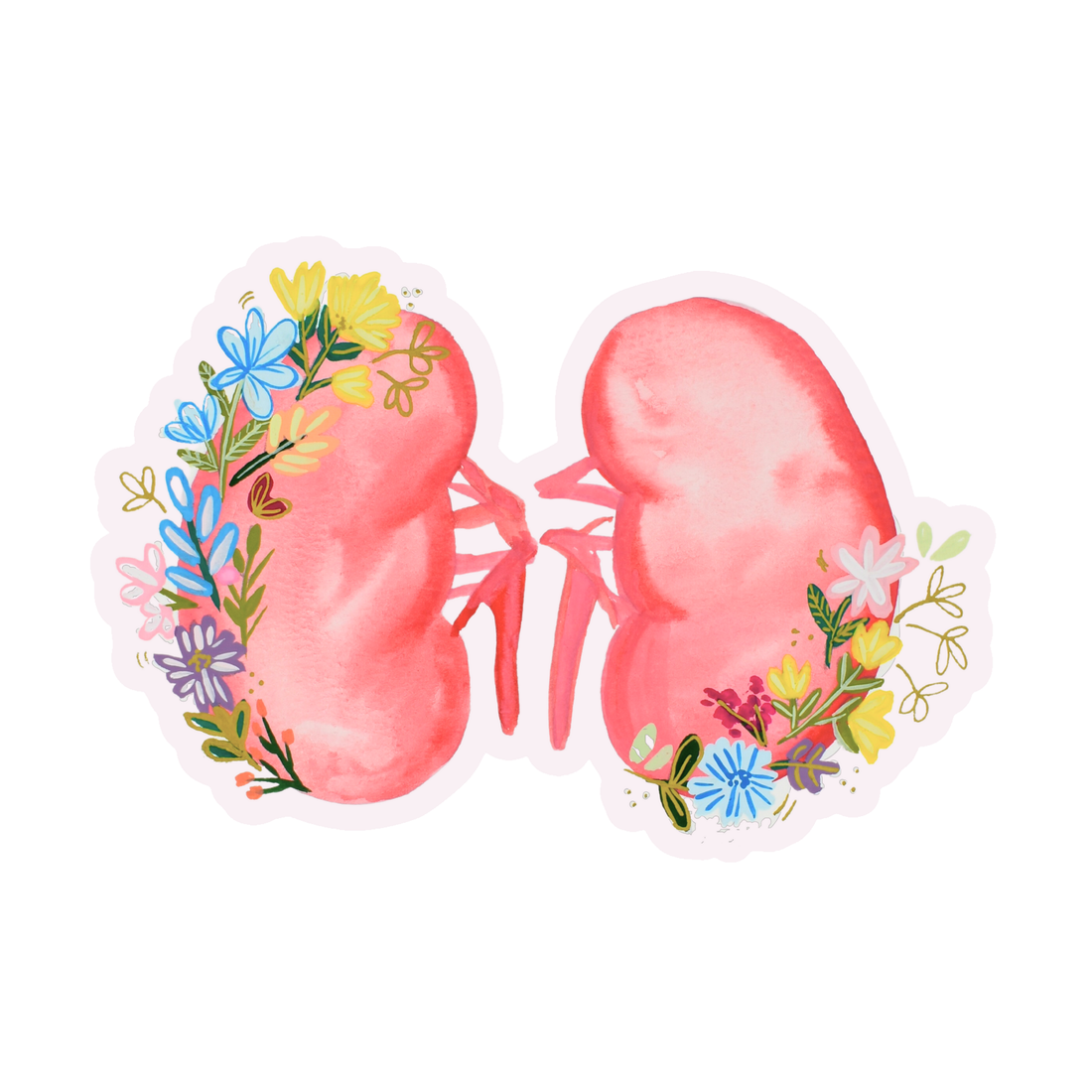 Kidney 2 Sticker waterproof quality vinyl matte