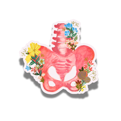 Pelvis Sticker