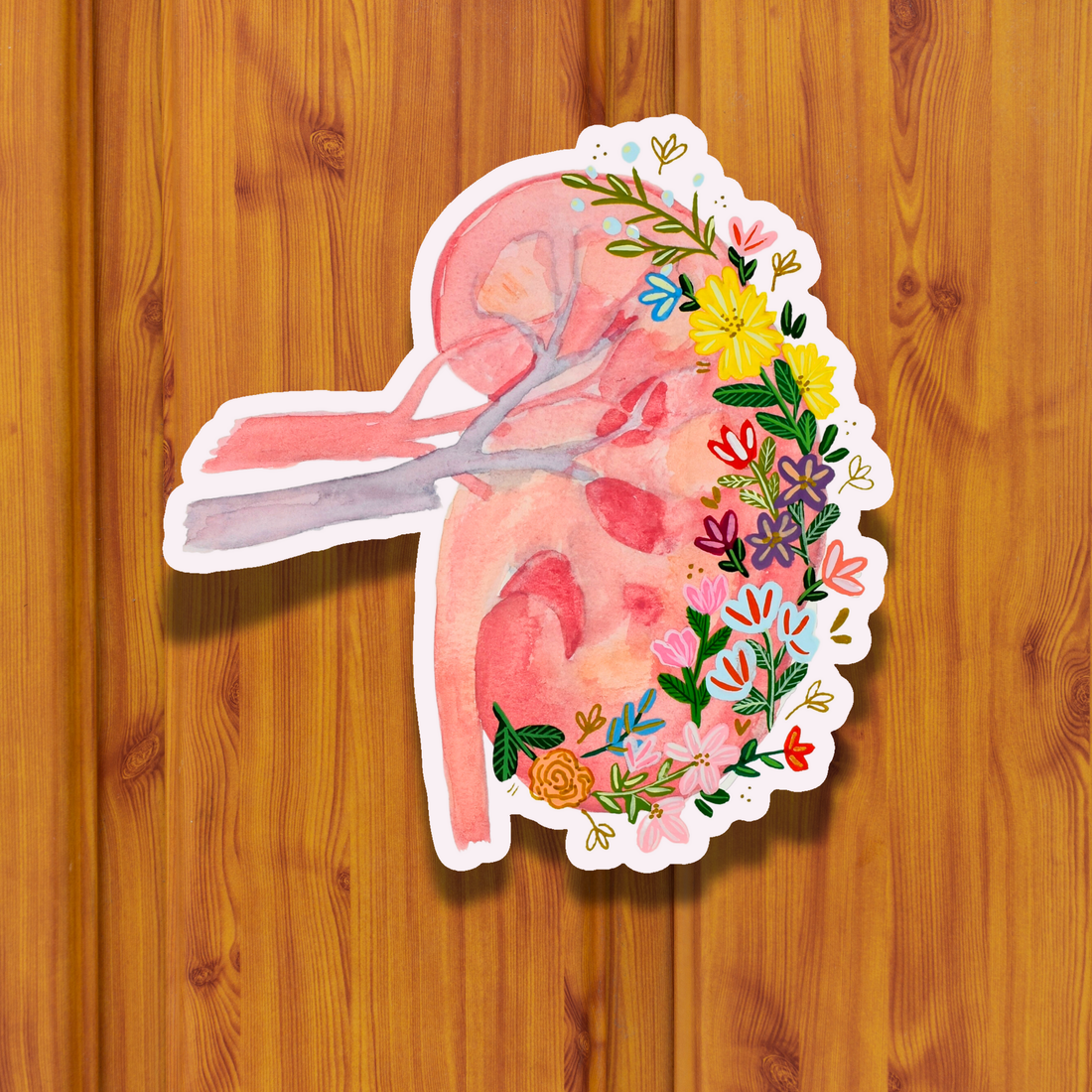 Kidney Sticker