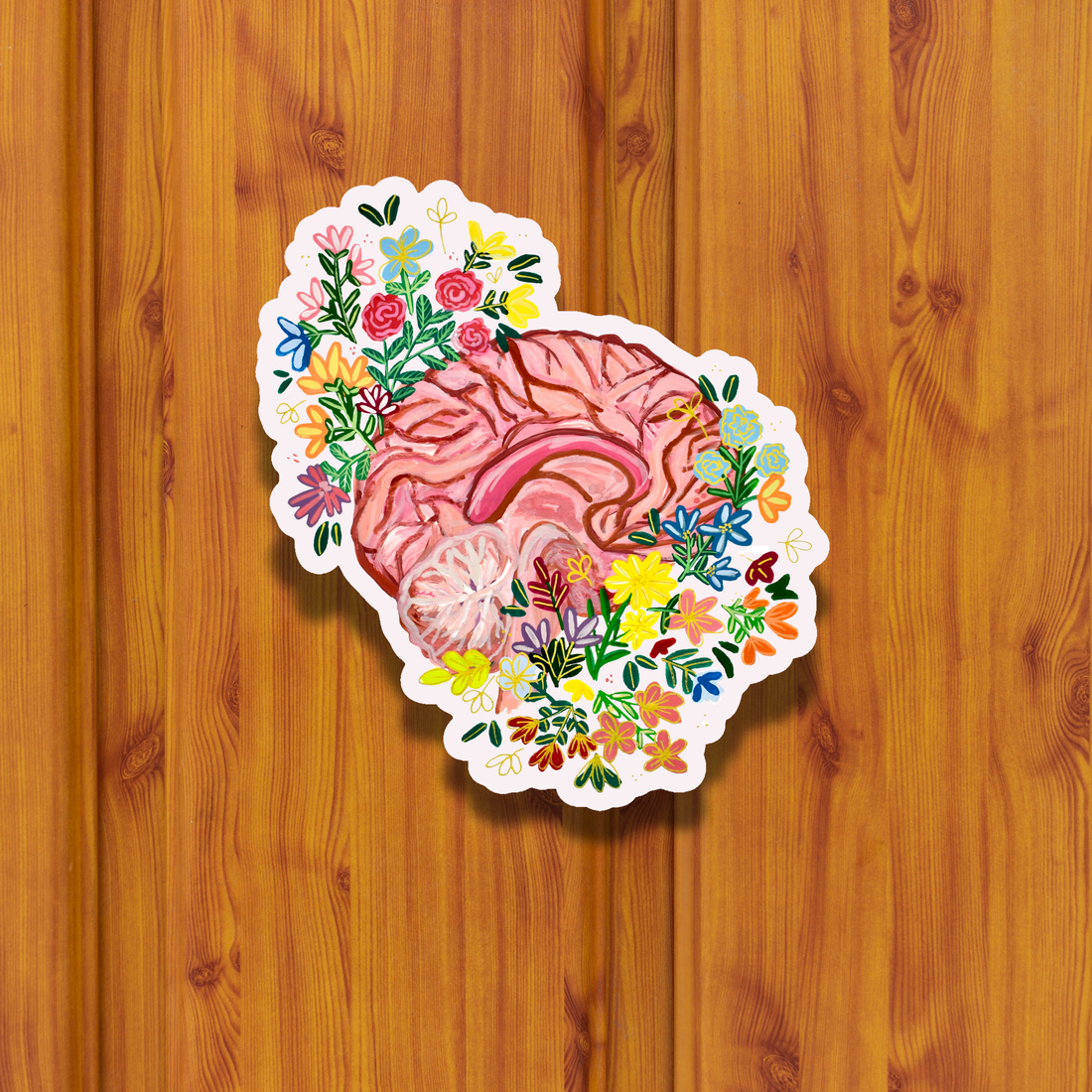 Sagittal brain sticker